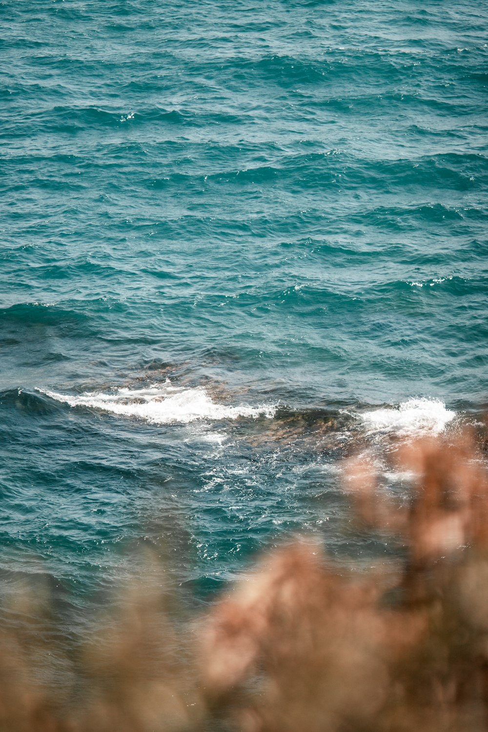 a body of water with waves