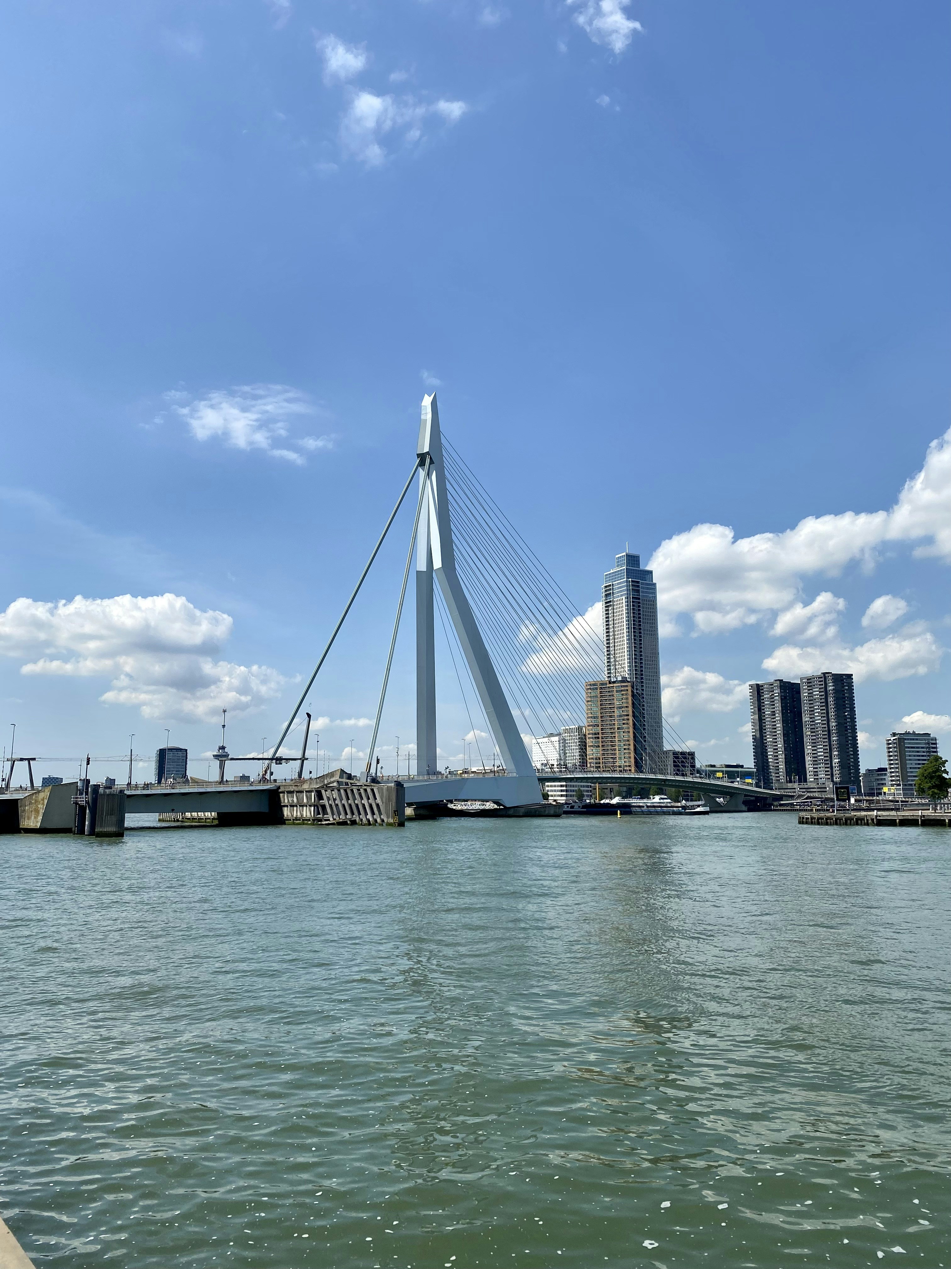 a bridge over water with a city in the background