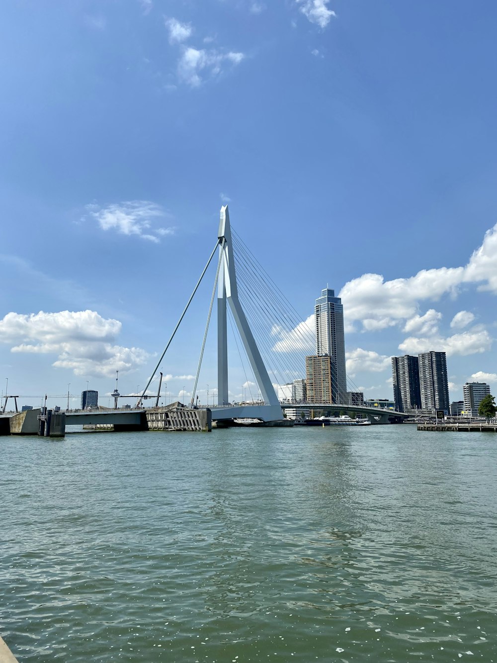 a bridge over water with a city in the background