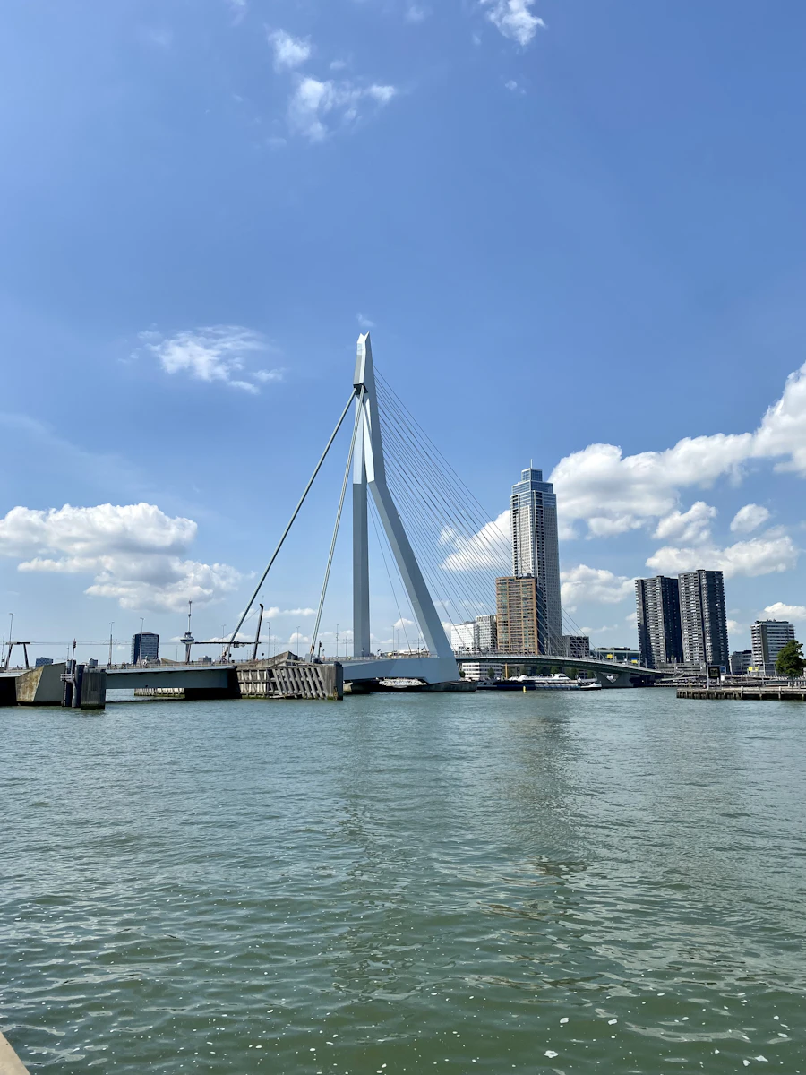Erasmus Bridge Rotterdam