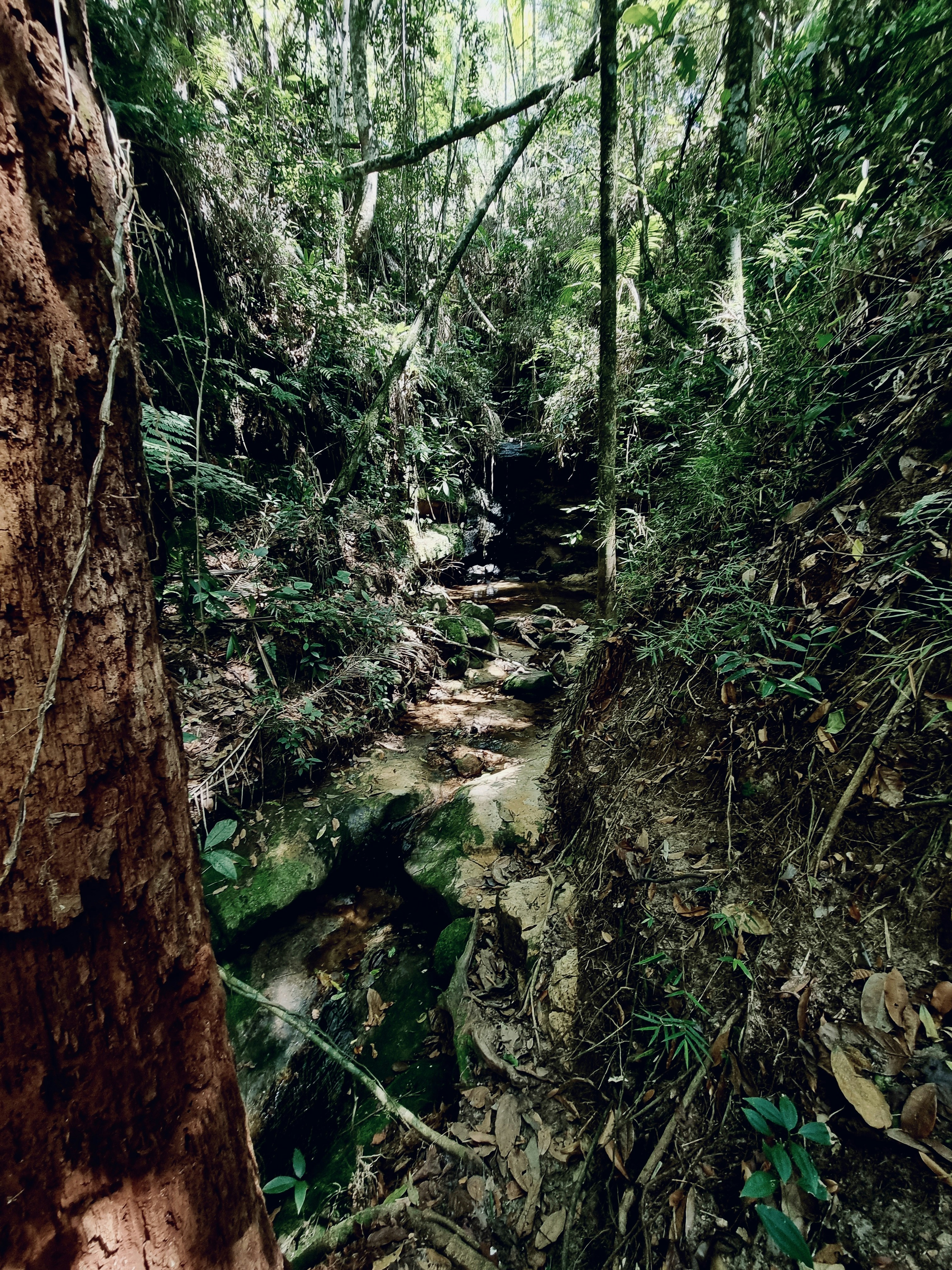 Photo by battendieriphotos