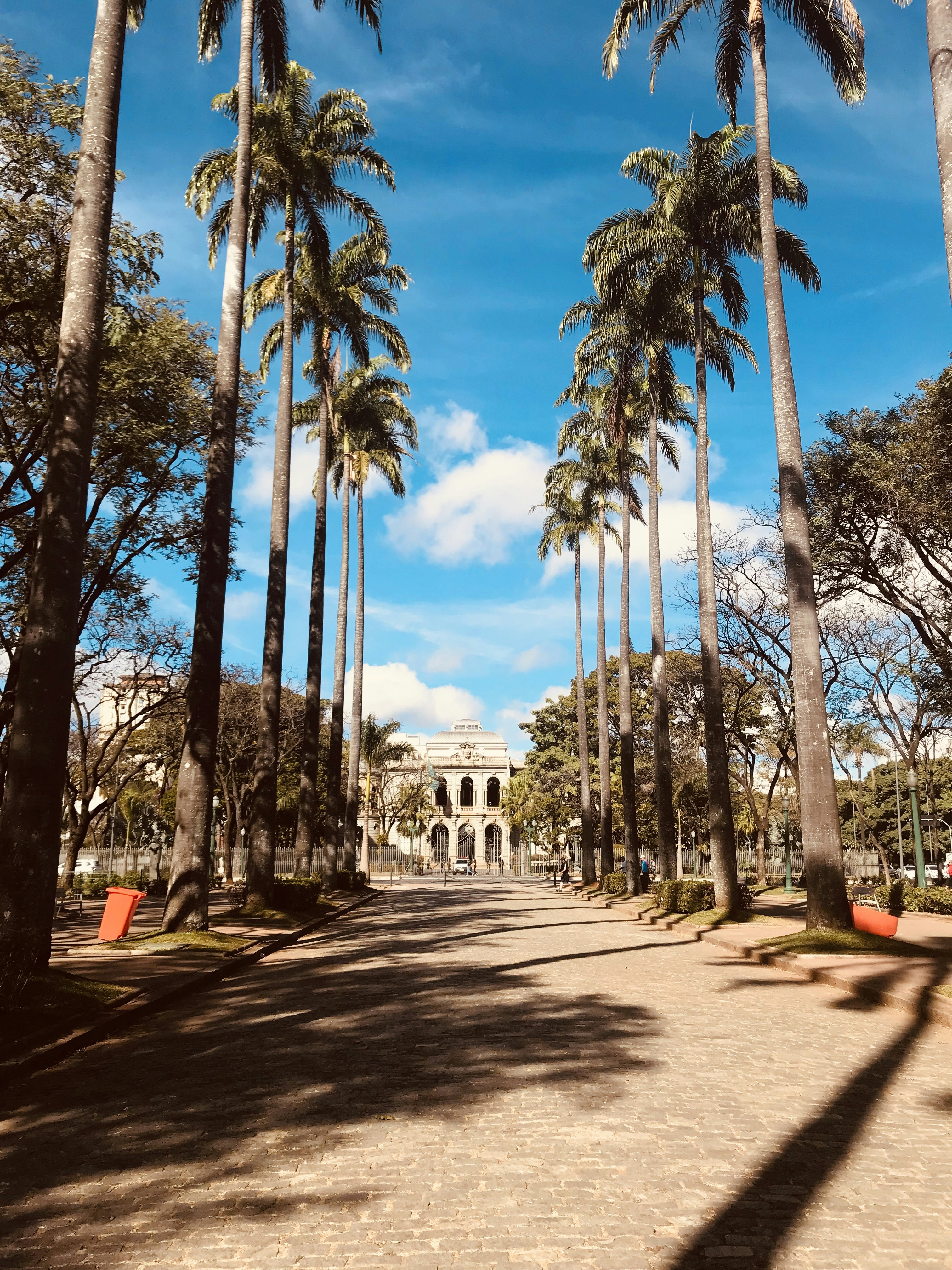 Photo by battendieriphotos