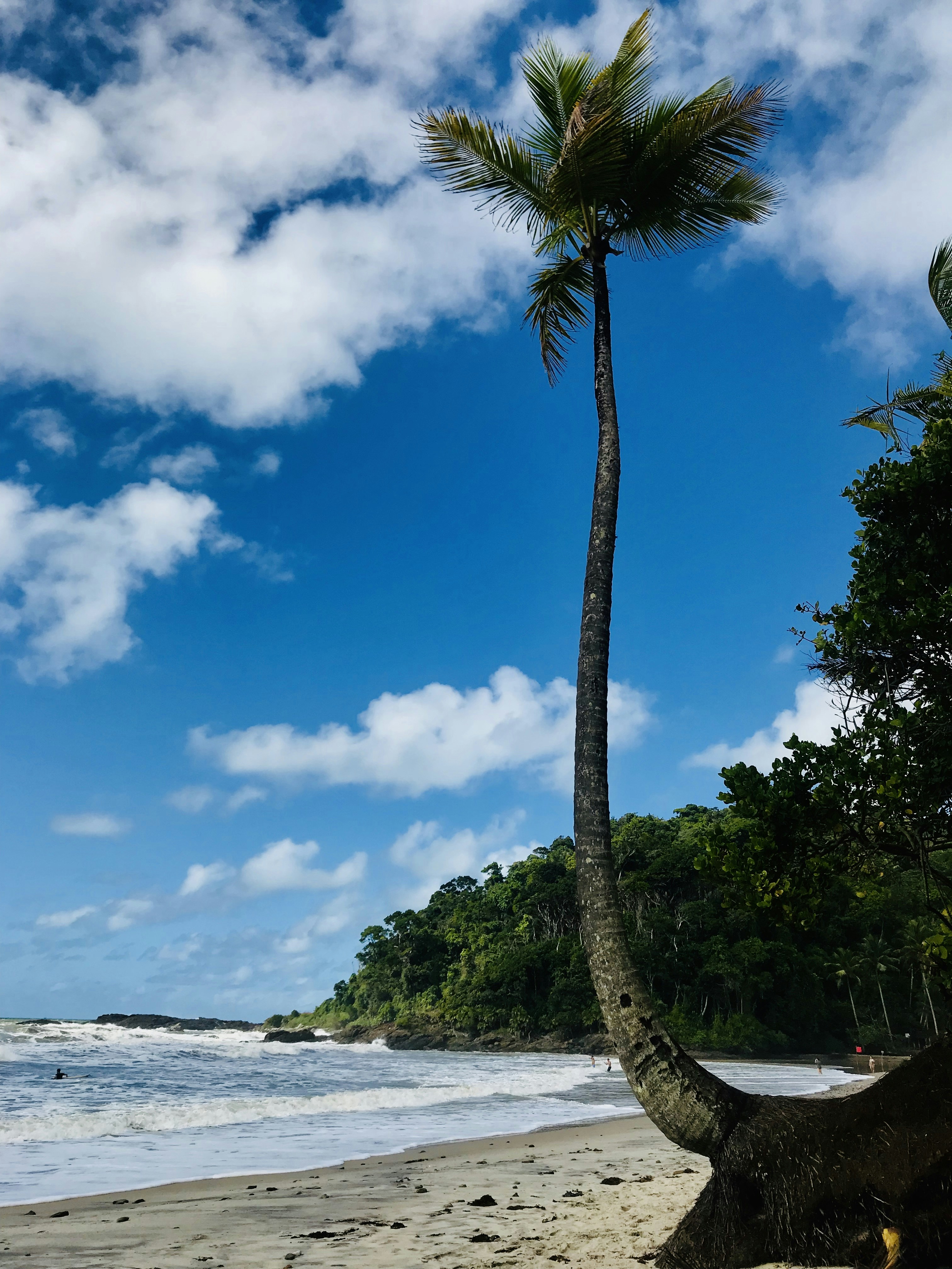 Photo by battendieriphotos