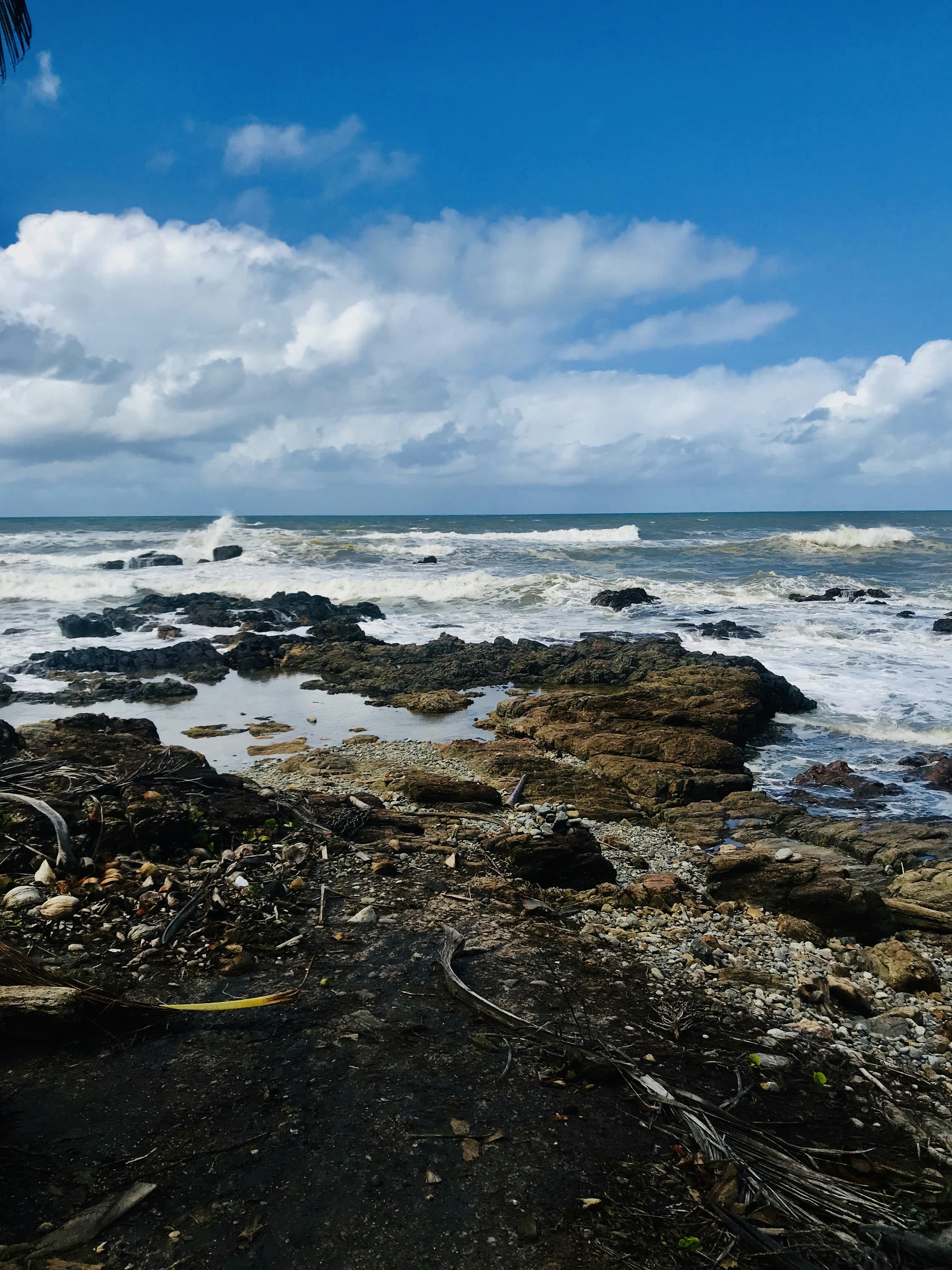 Photo by battendieriphotos