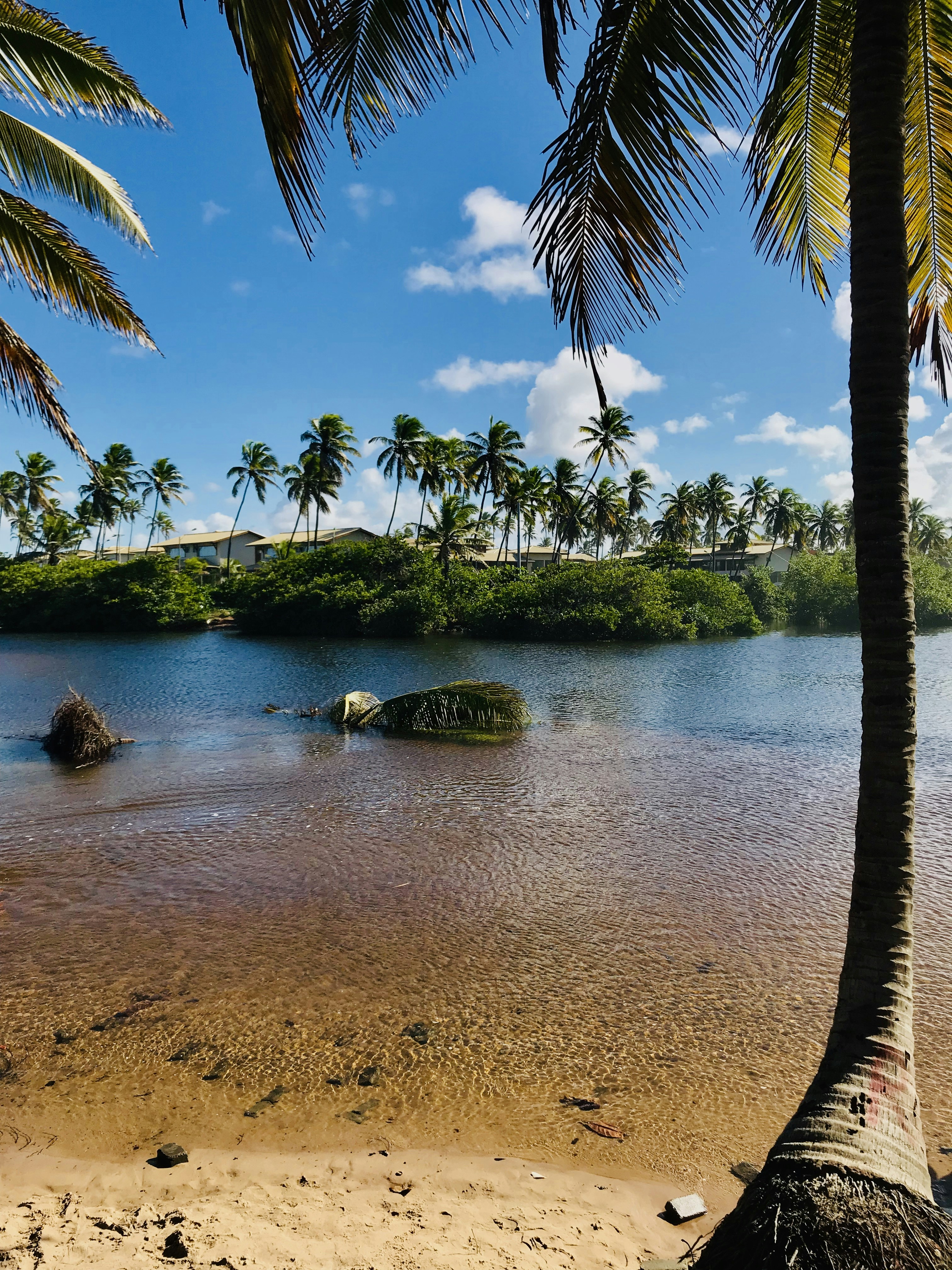 Photo by battendieriphotos