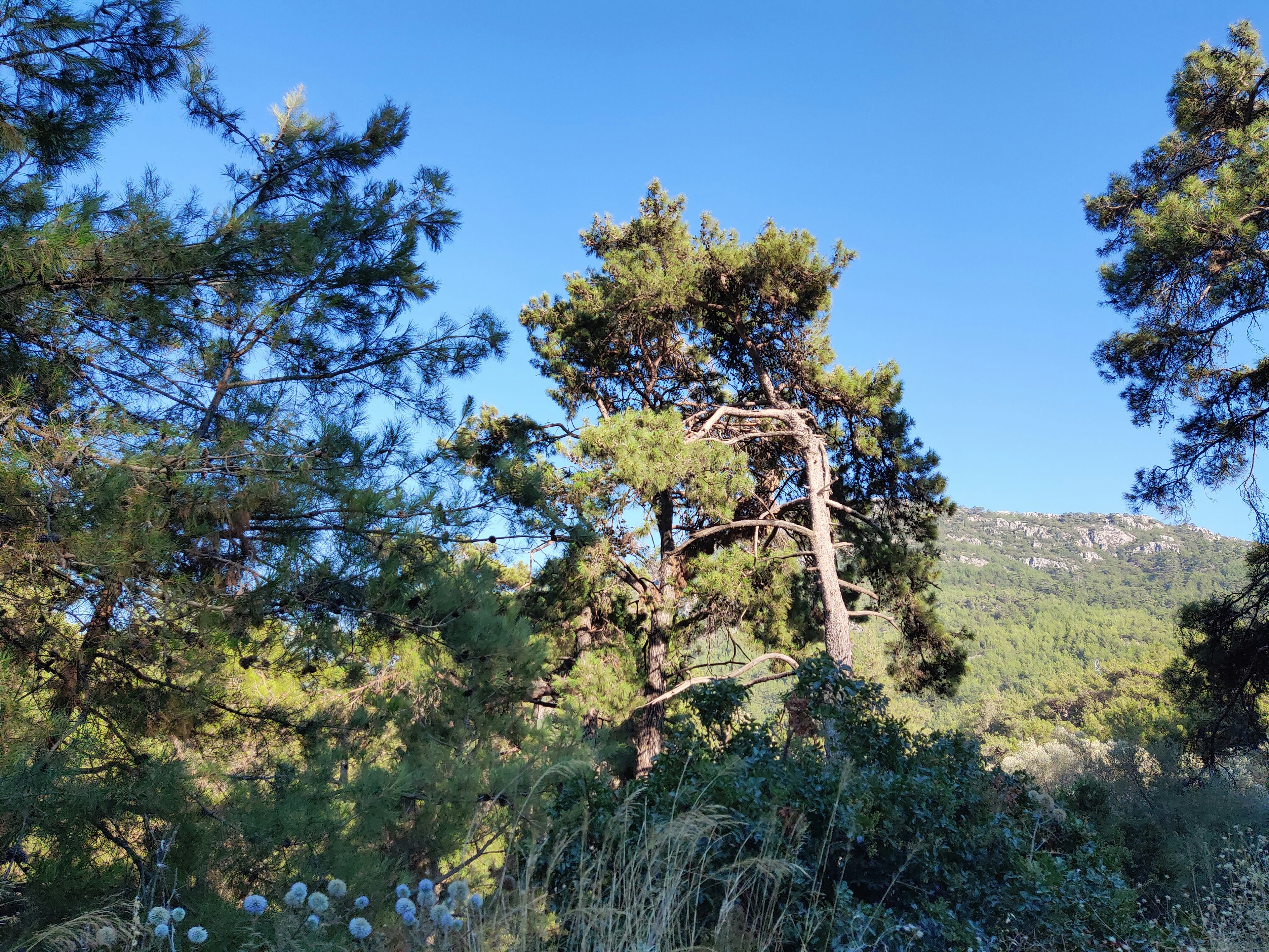 Photo by photograph_0080