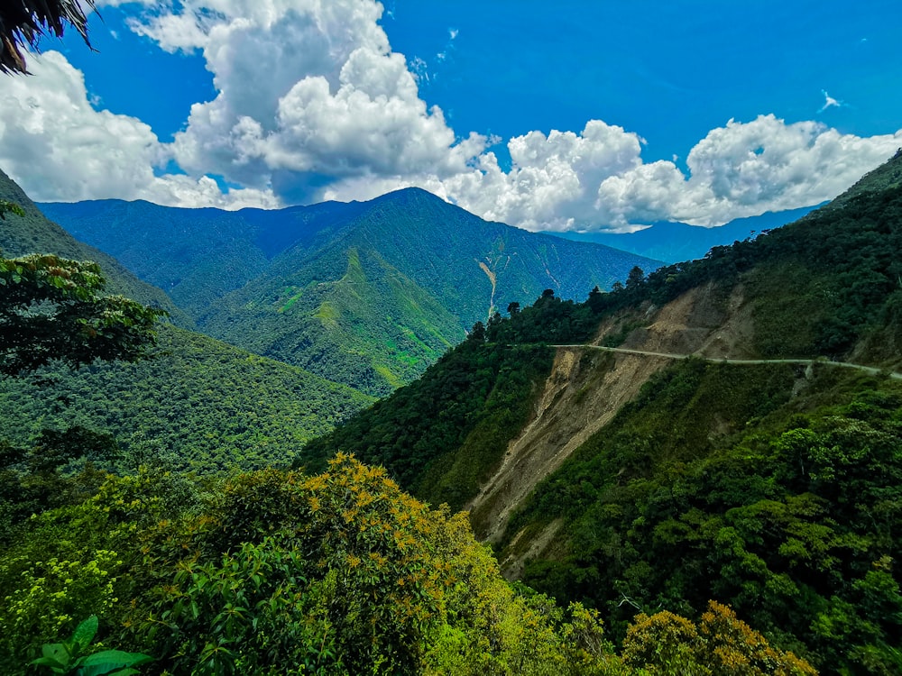 a green valley with trees and mountains