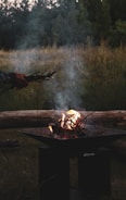 A tranquil outdoor setting features a metal fire pit with a small fire burning. The fire is fueled by sticks and twigs, creating gentle smoke that rises into the air. A hand is visible holding more sticks, ready to add them to the fire. The background is a lush green forest with tall trees and grass, suggesting a peaceful natural environment.