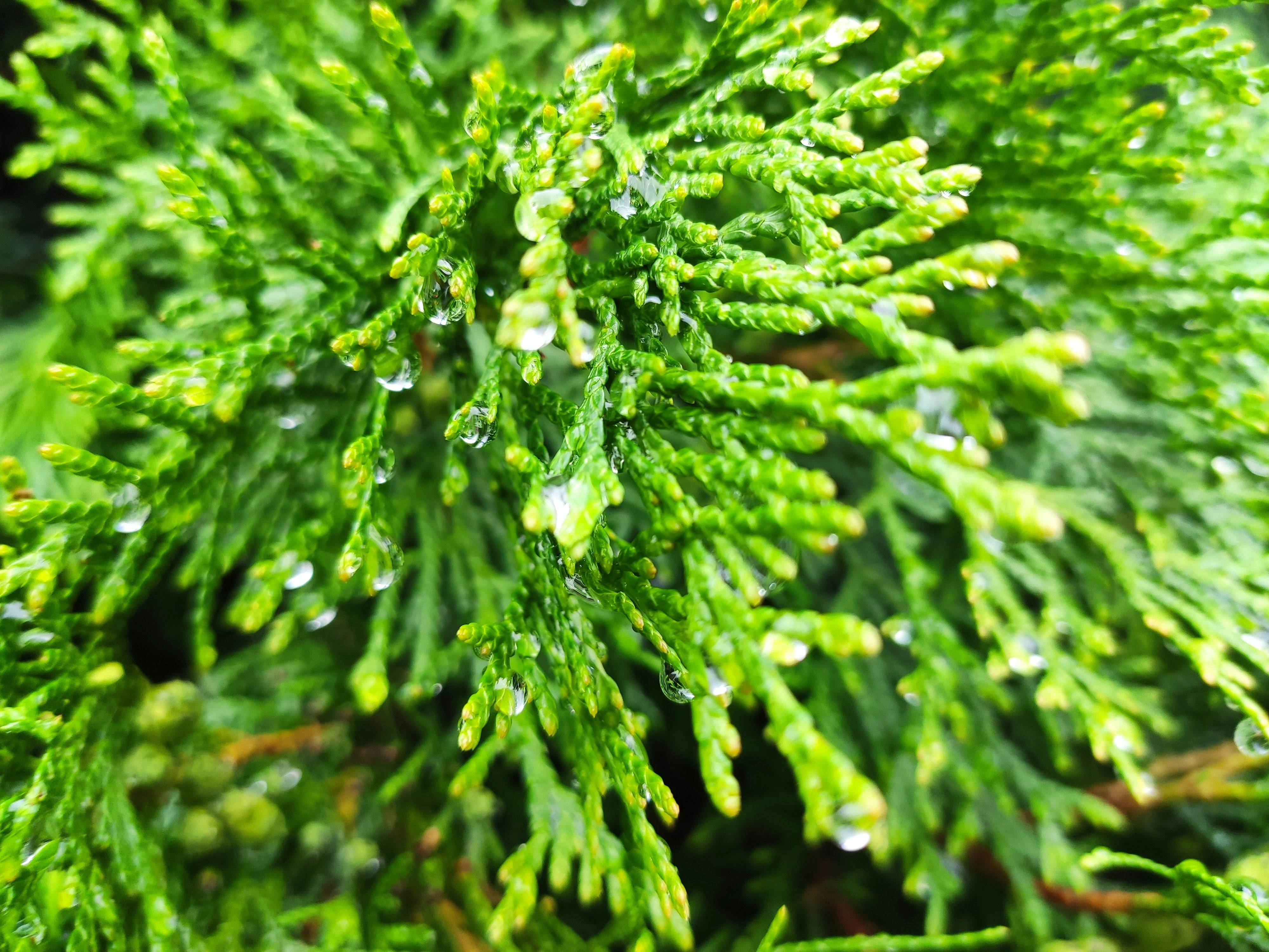 Photo by kate_h_travel