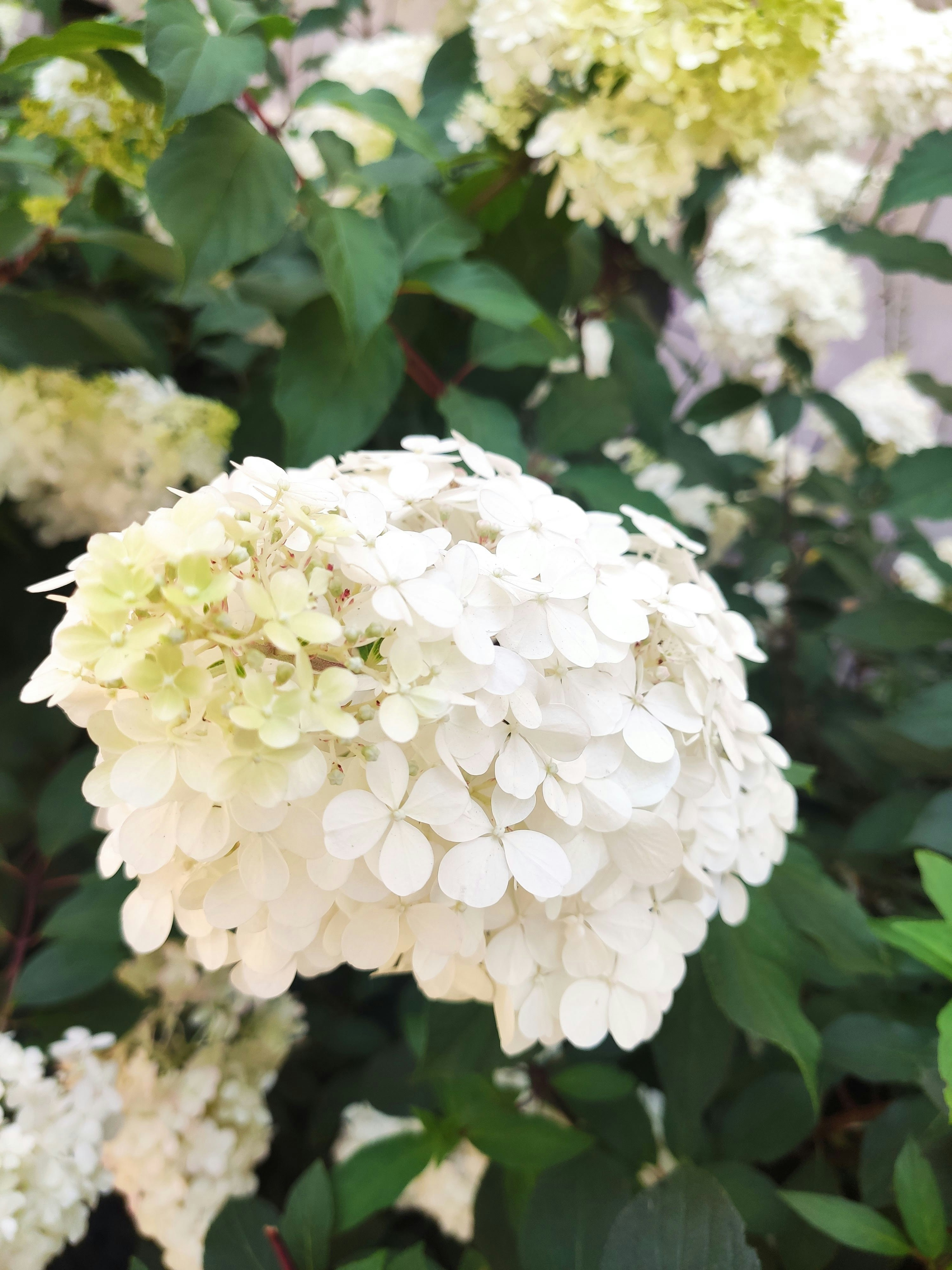 Photo by kate_h_travel