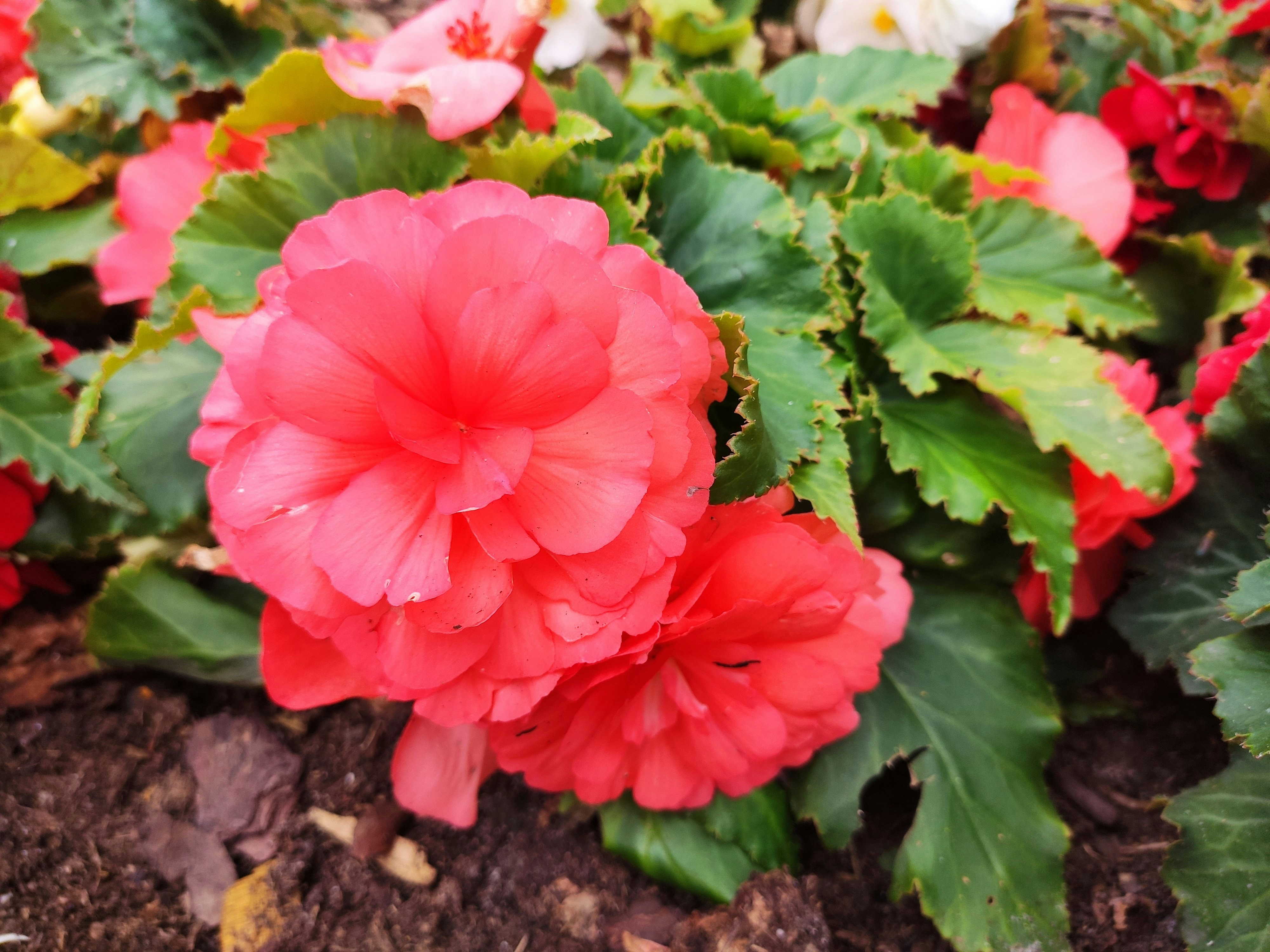 Photo by kate_h_travel