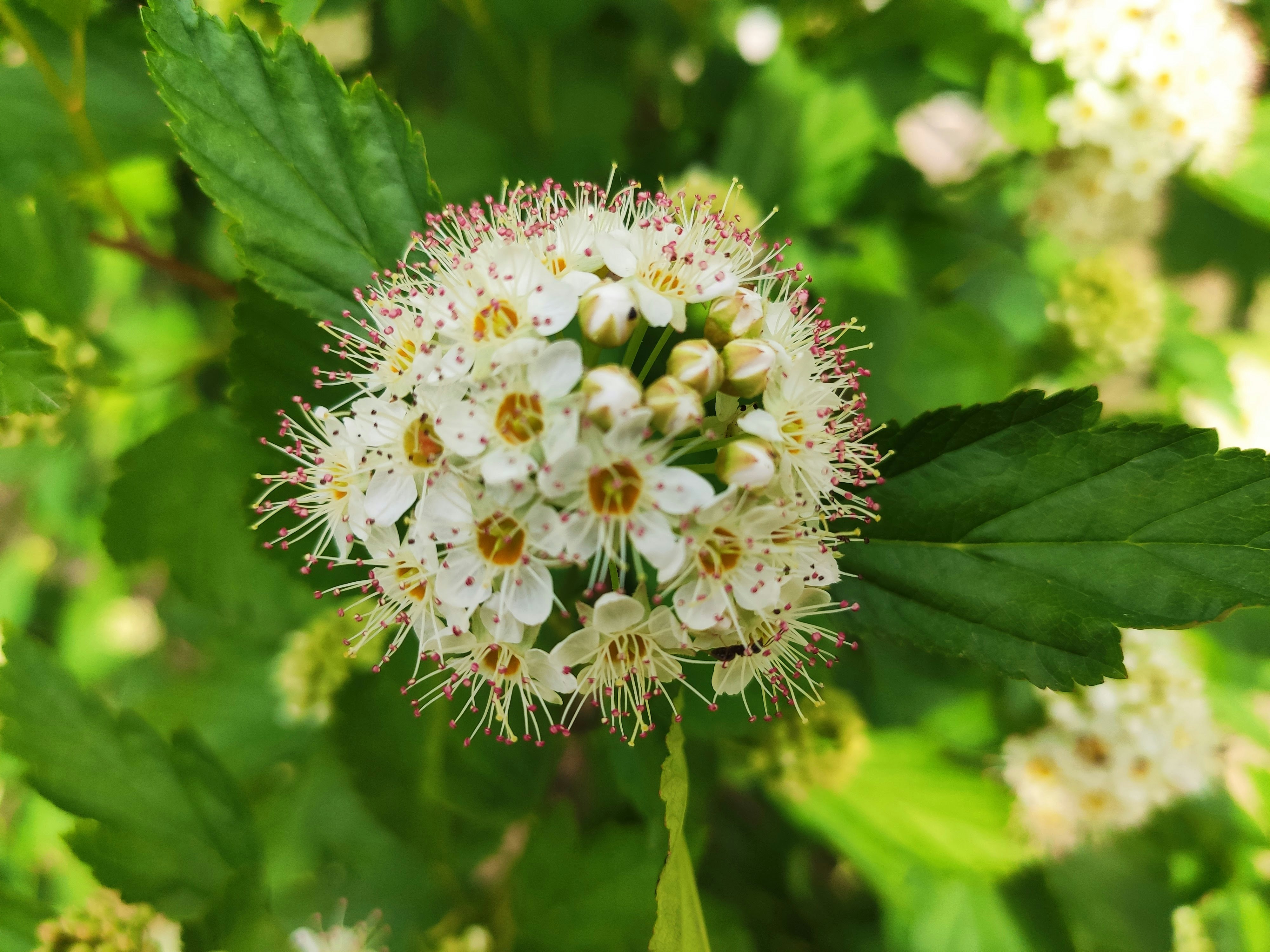 Photo by kate_h_travel