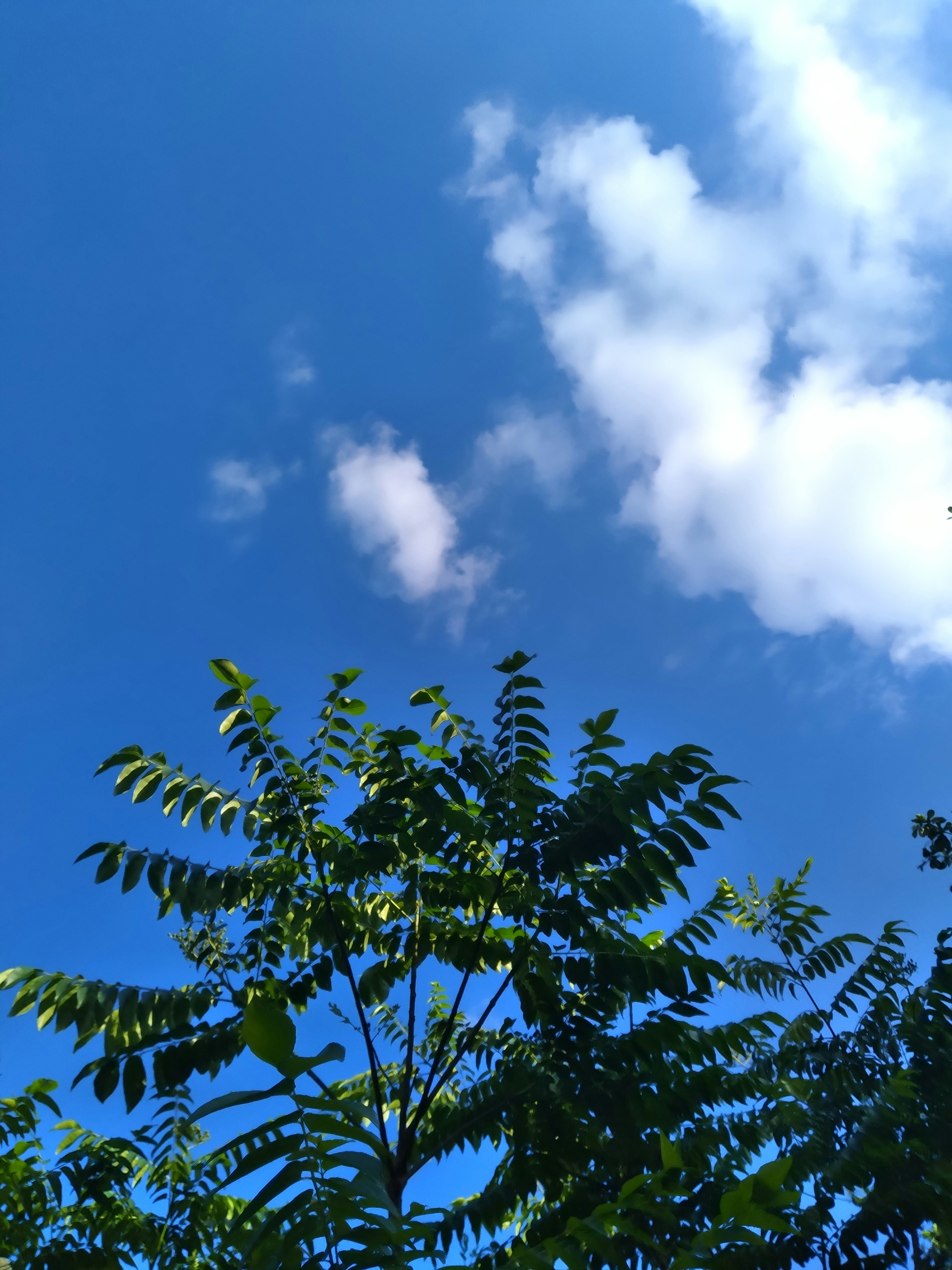 Photo by callmeirina