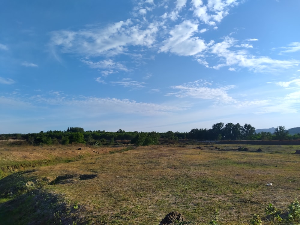 a large open field with trees in the background