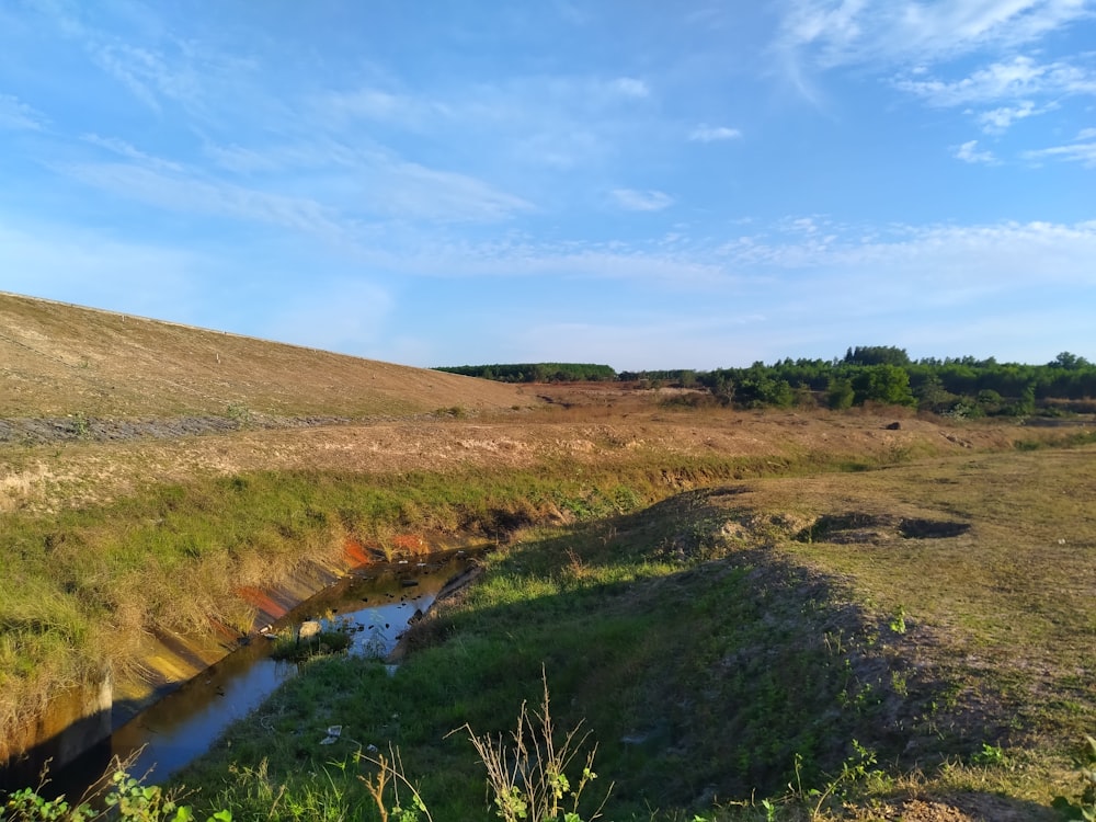 a small pond in a field