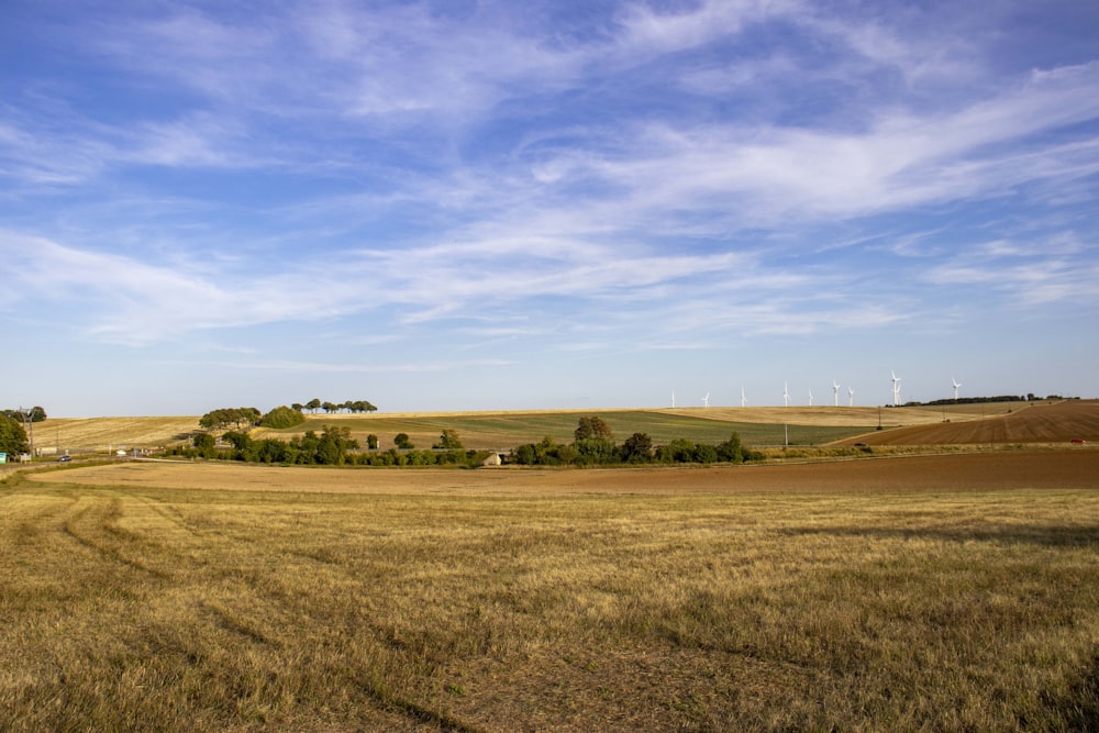 a large open field with trees in the distance