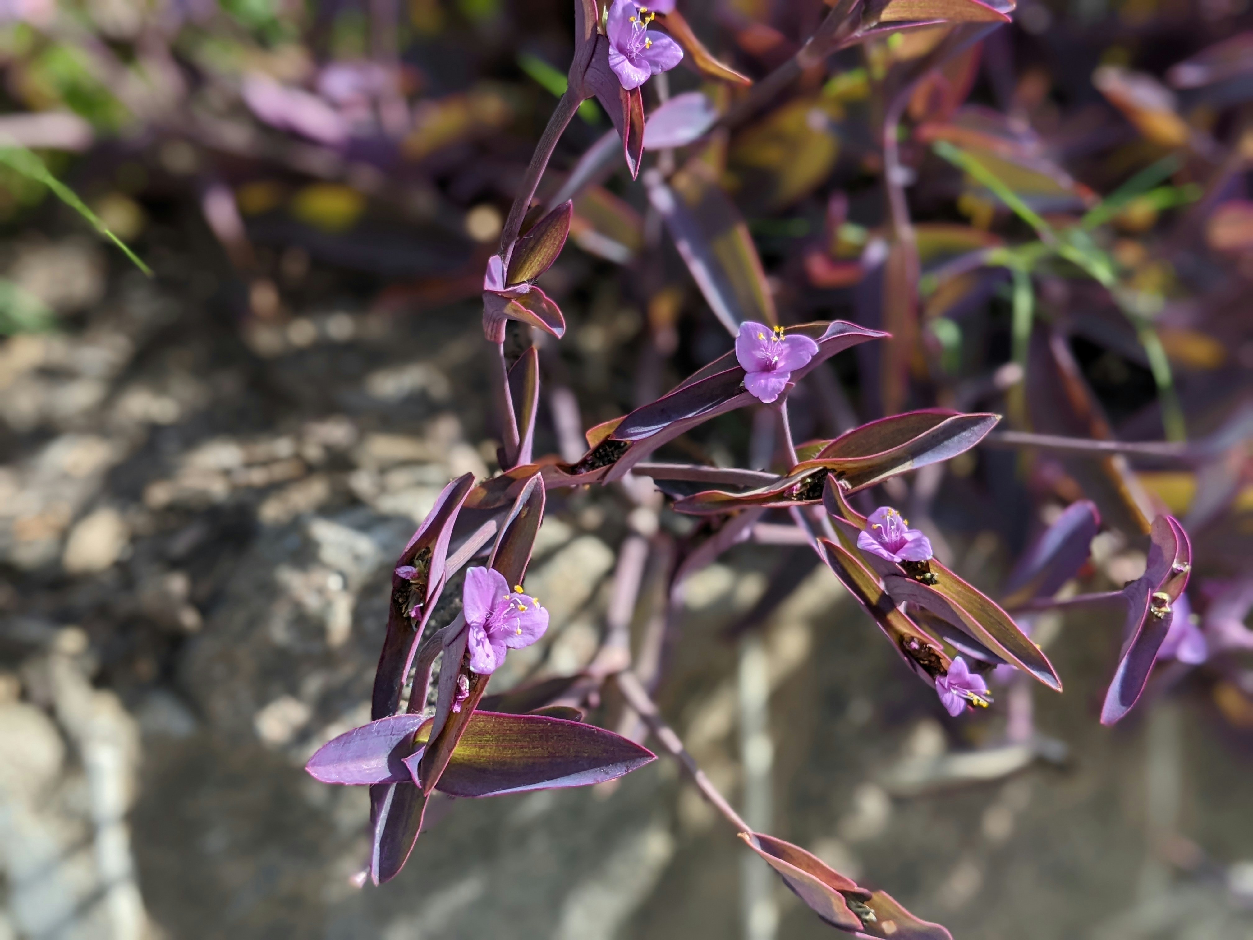 Photo by gordonbybike