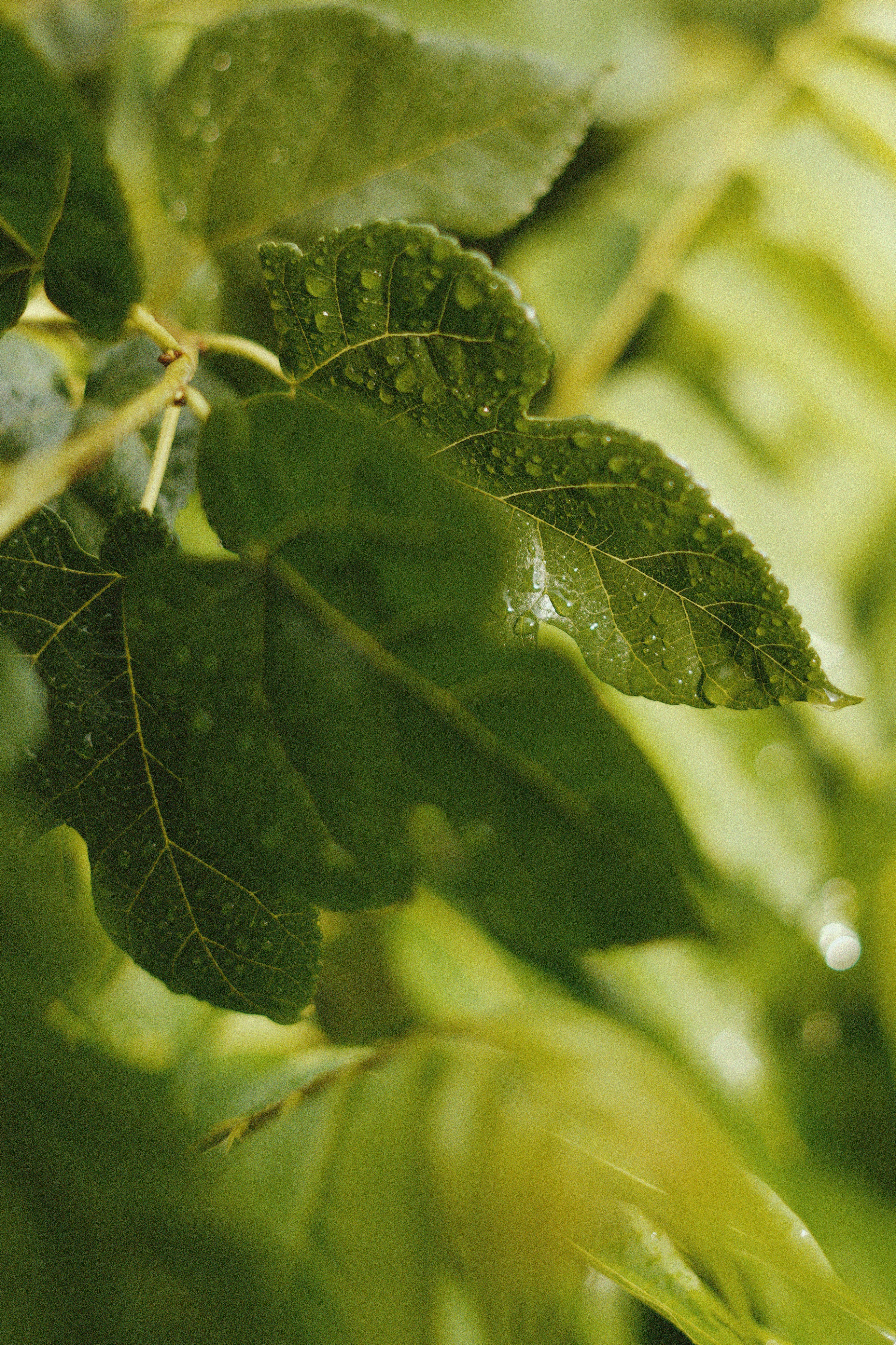 Photo by countingframez