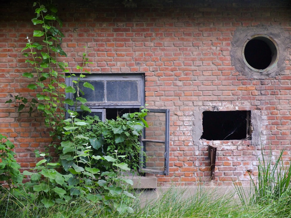 窓のあるレンガ造りの建物