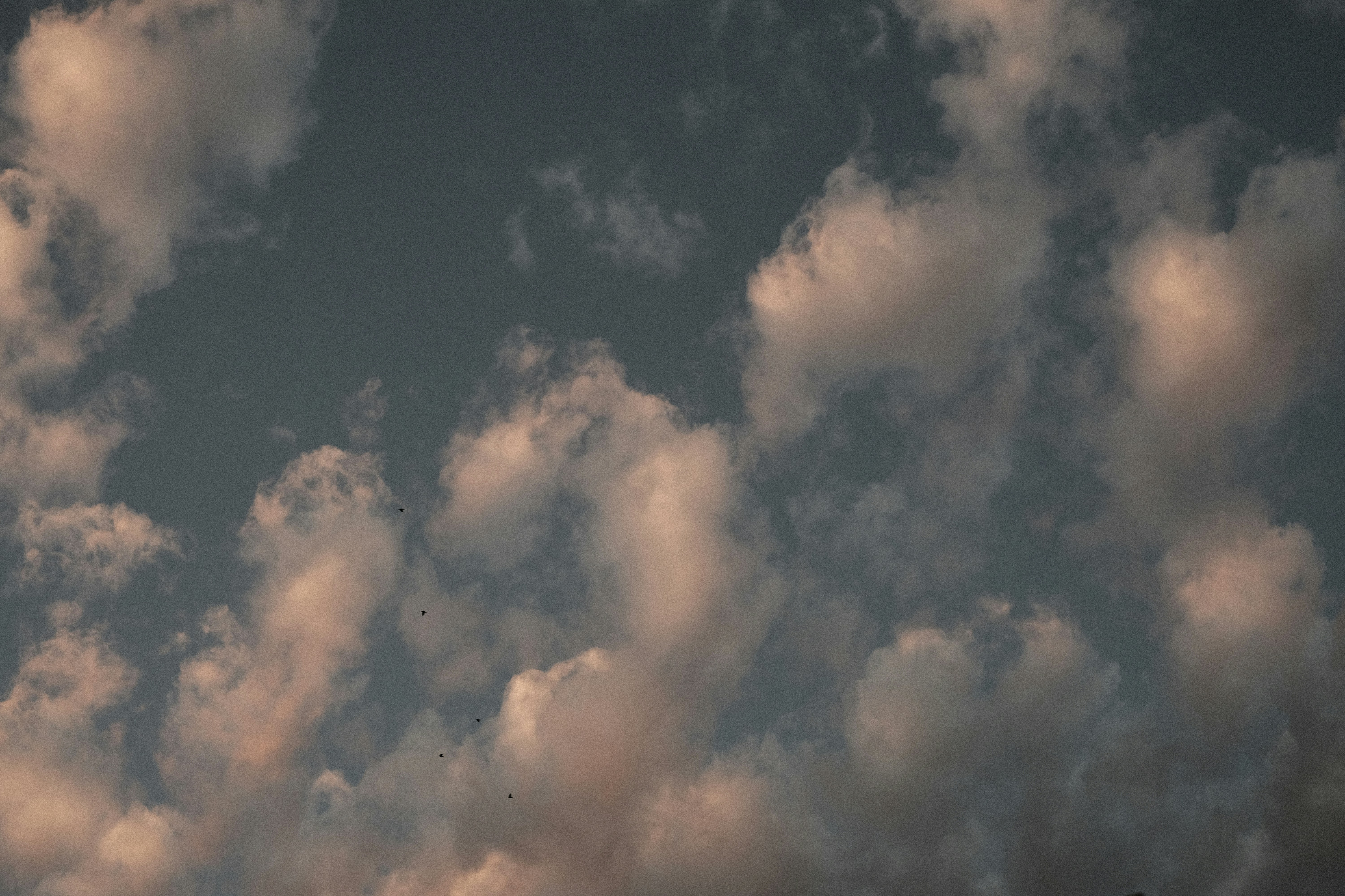 Photo by toeljimothy