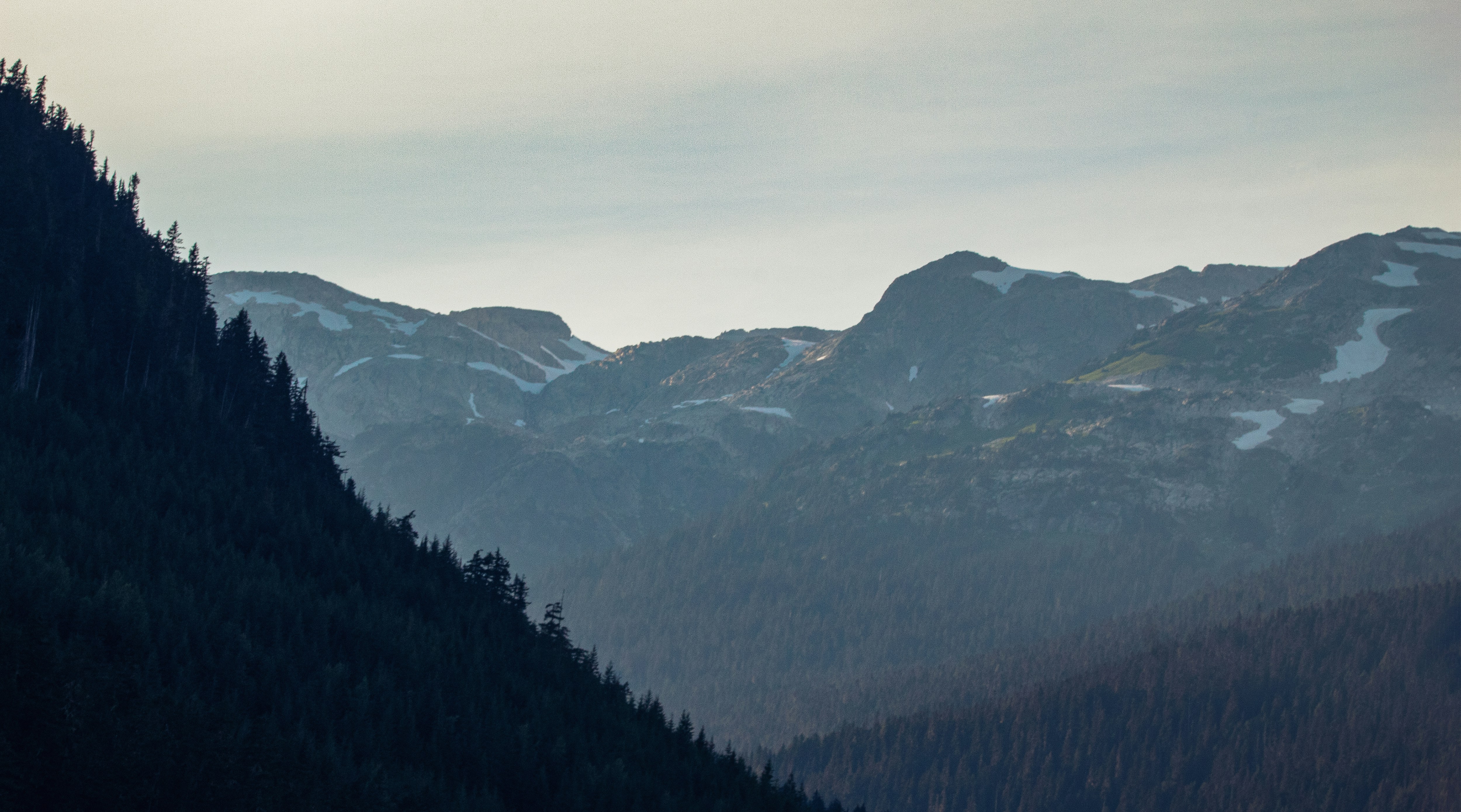 Photo by cirlbunting