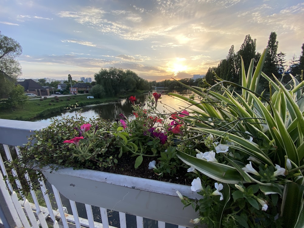 a view of a garden and a river