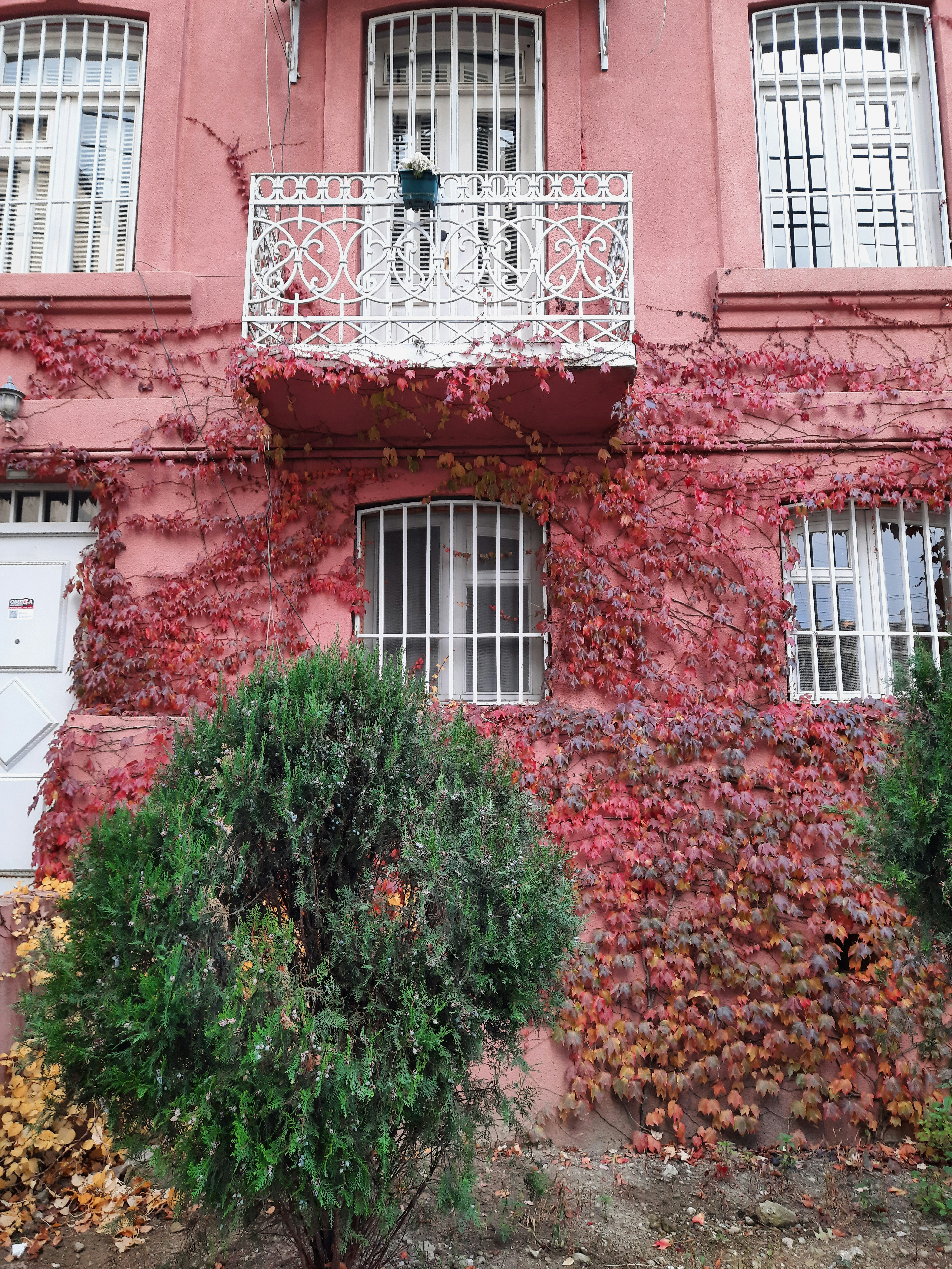 a building with a balcony and plants in front of it