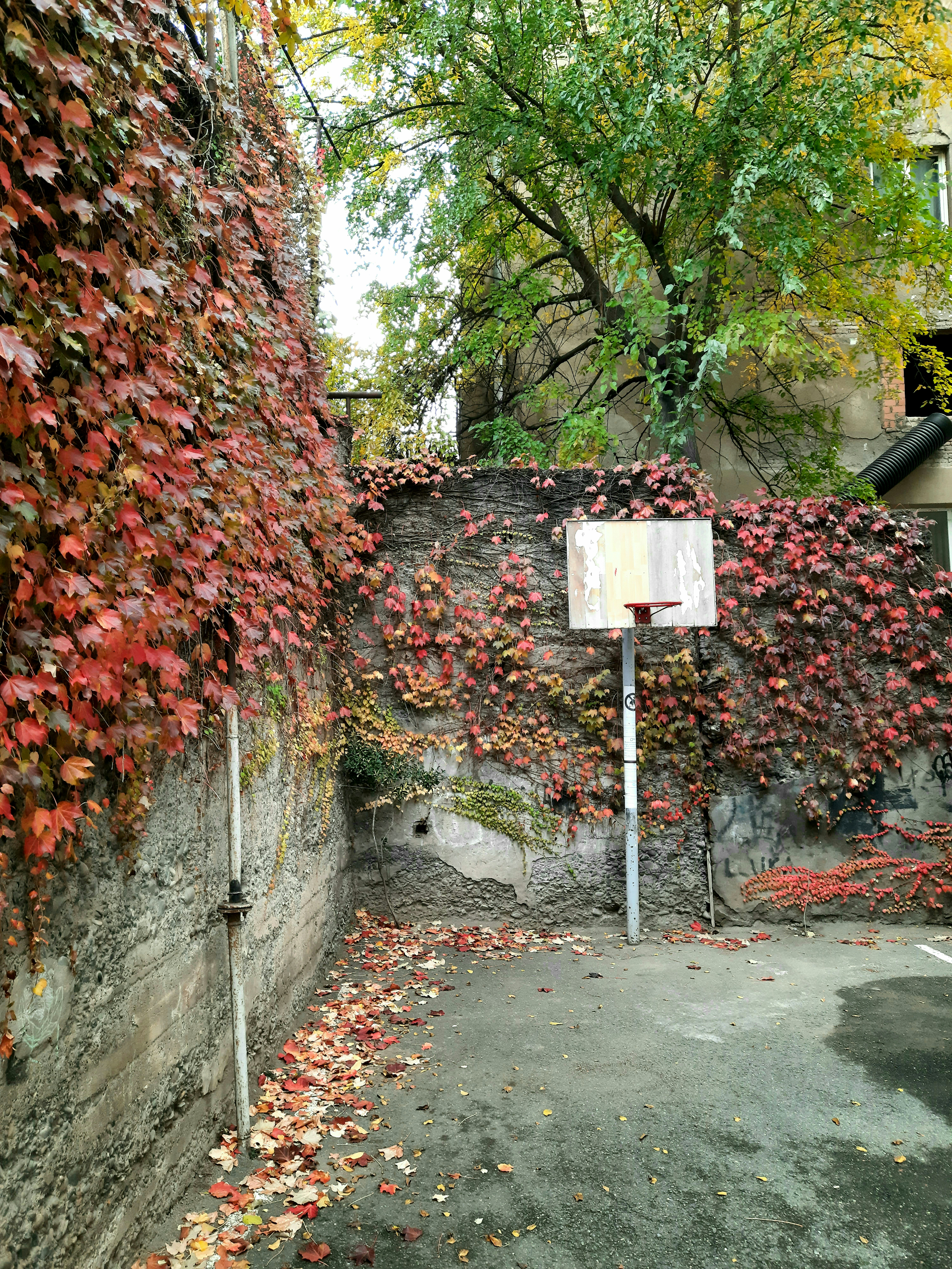 a sign on a sidewalk