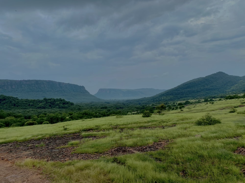 a landscape with hills and trees