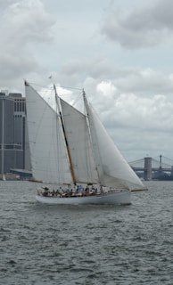 A sailboat with large white sails navigating through a body of water near an urban skyline. The boat is occupied by a group of people, and a bridge is visible in the background, under a cloudy sky.