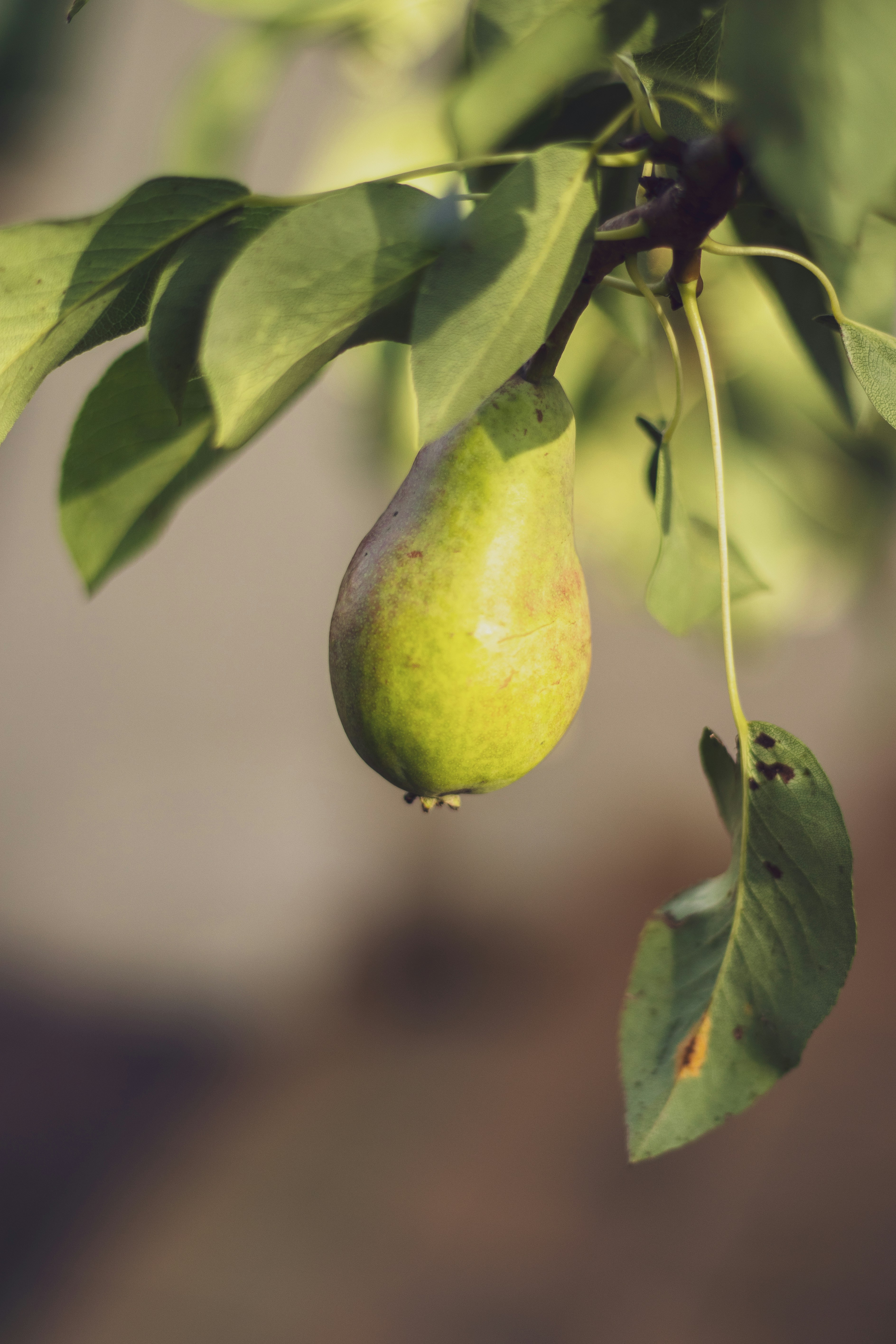 Photo by patrycja_chociej