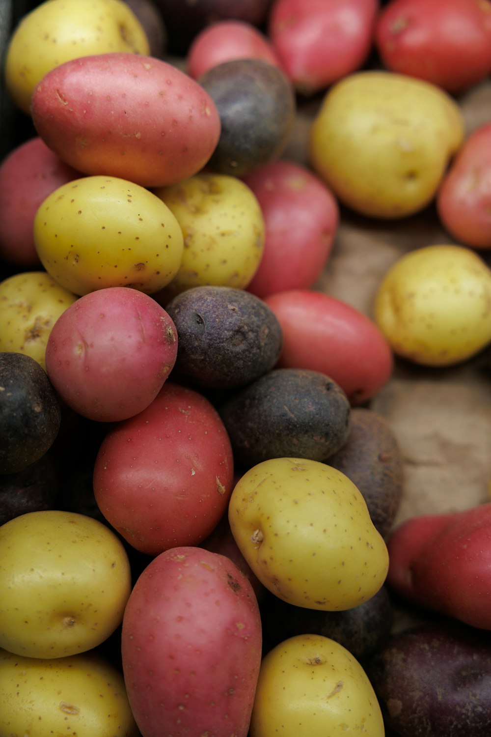 a pile of colorful fruit