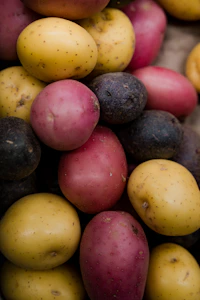 a pile of colorful fruit