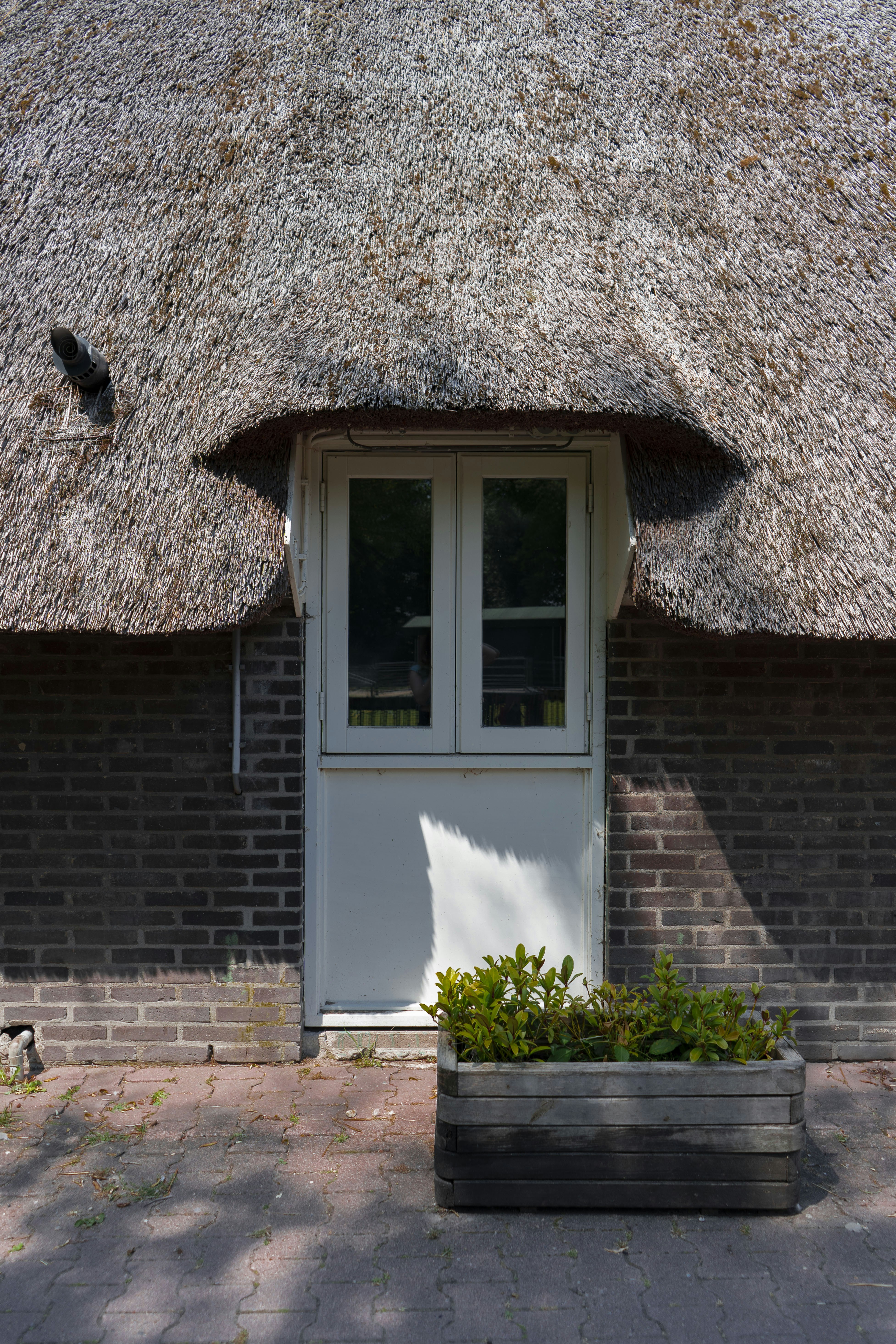 sustainable architecture