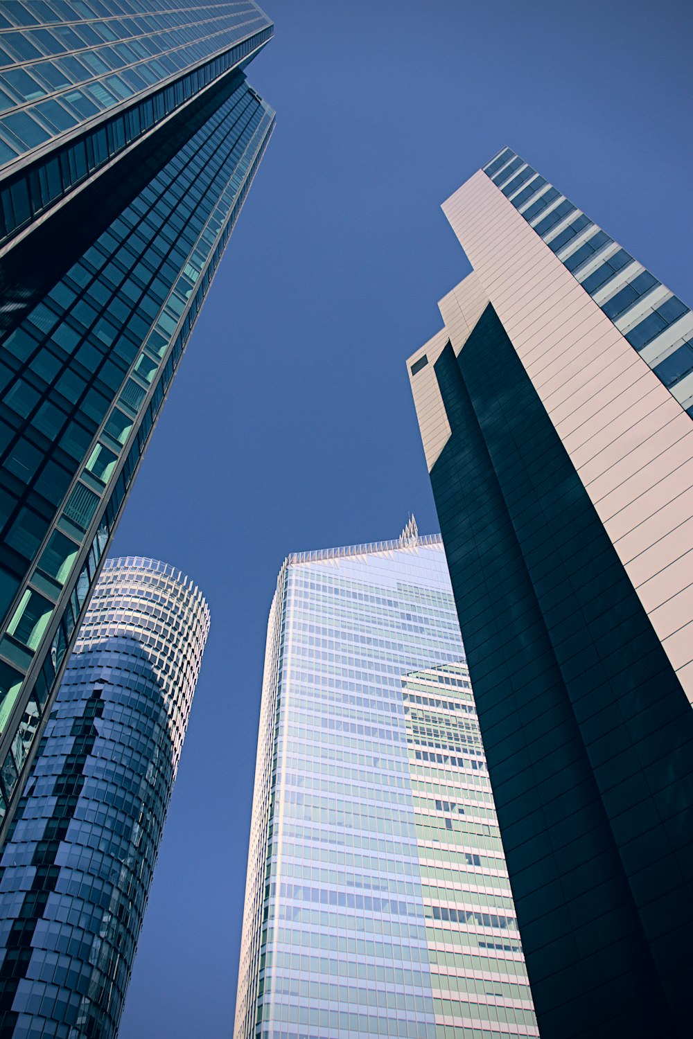 a few skyscrapers in a city