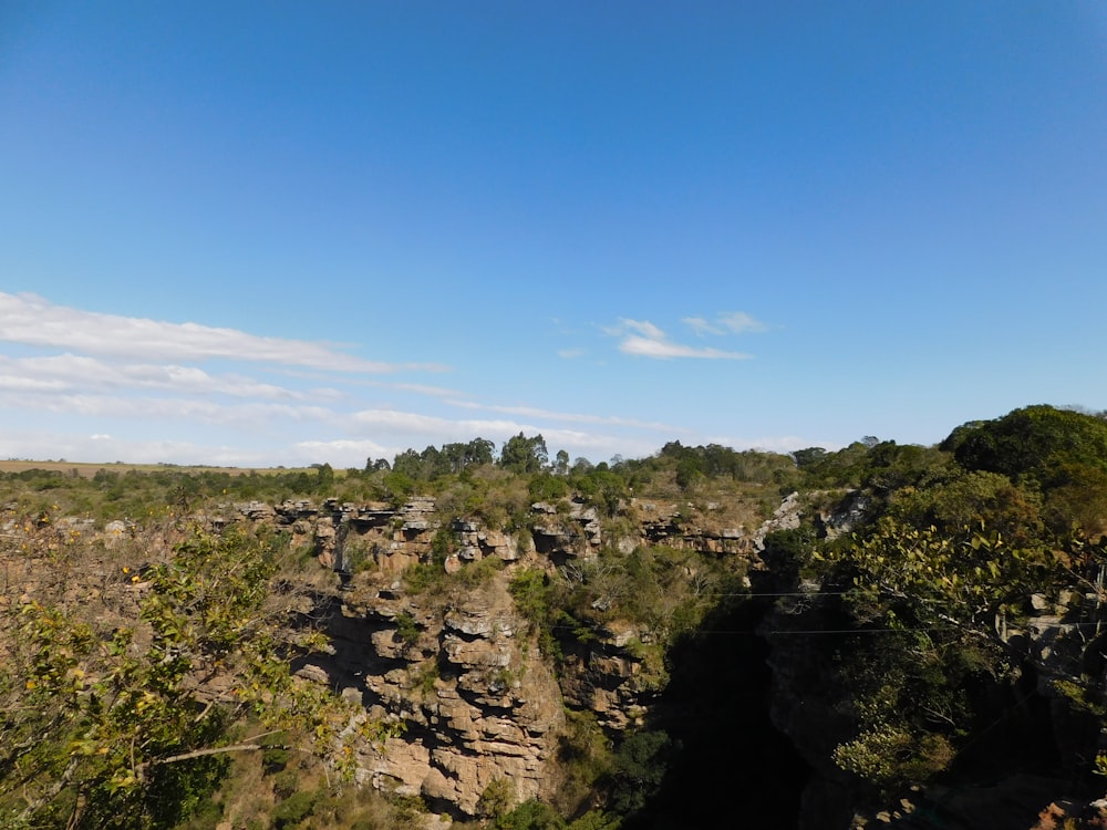 a rocky cliff with trees on it