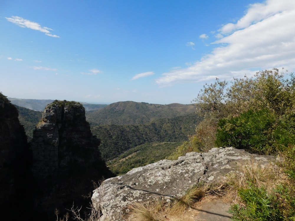 a rocky hillside with trees and blue sky