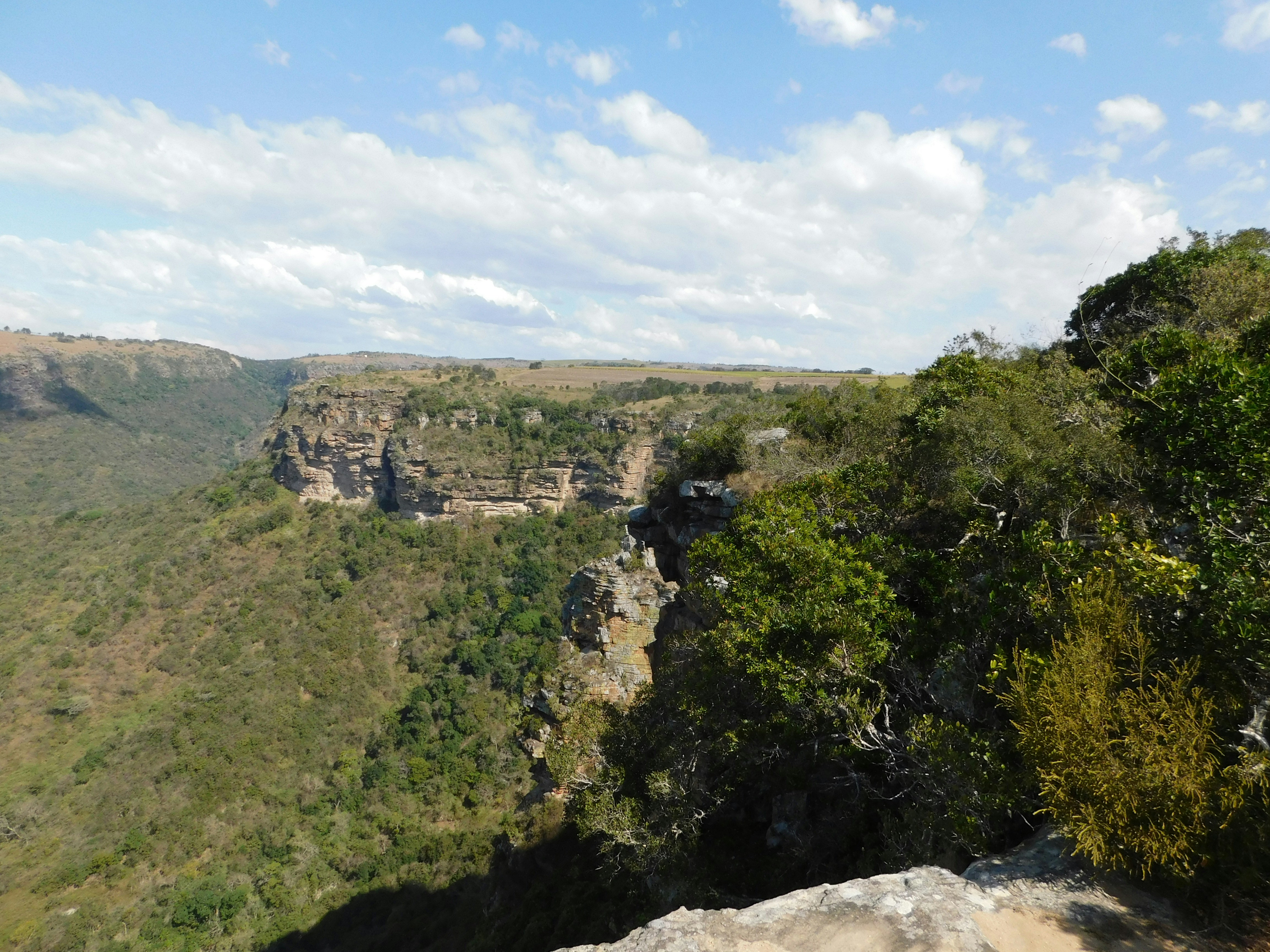 a rocky cliff with trees on it
