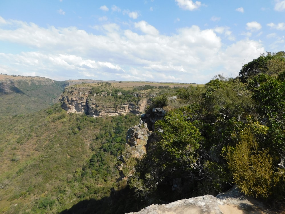 a rocky cliff with trees on it