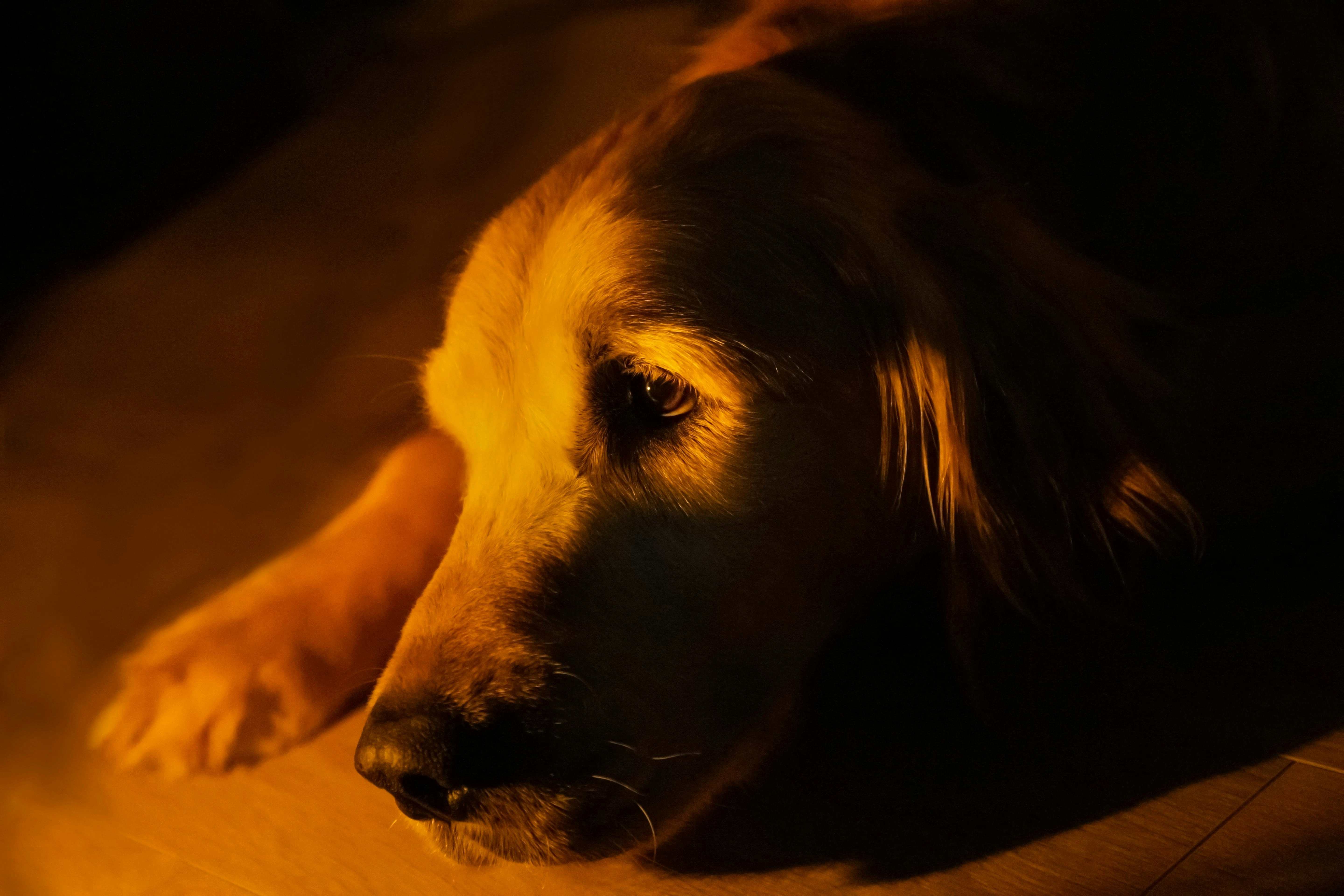 Photo by silentminds