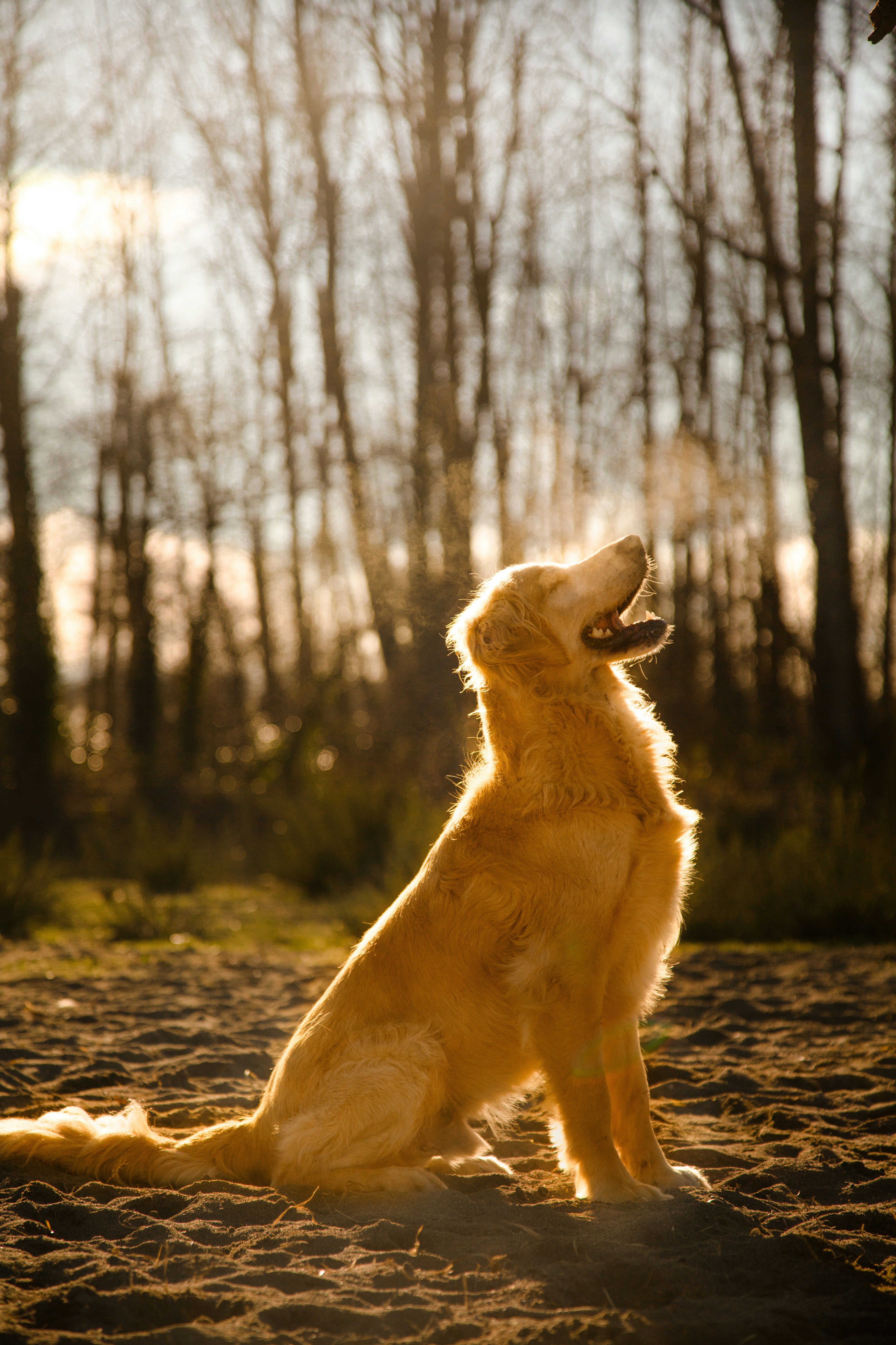 Photo by silentminds