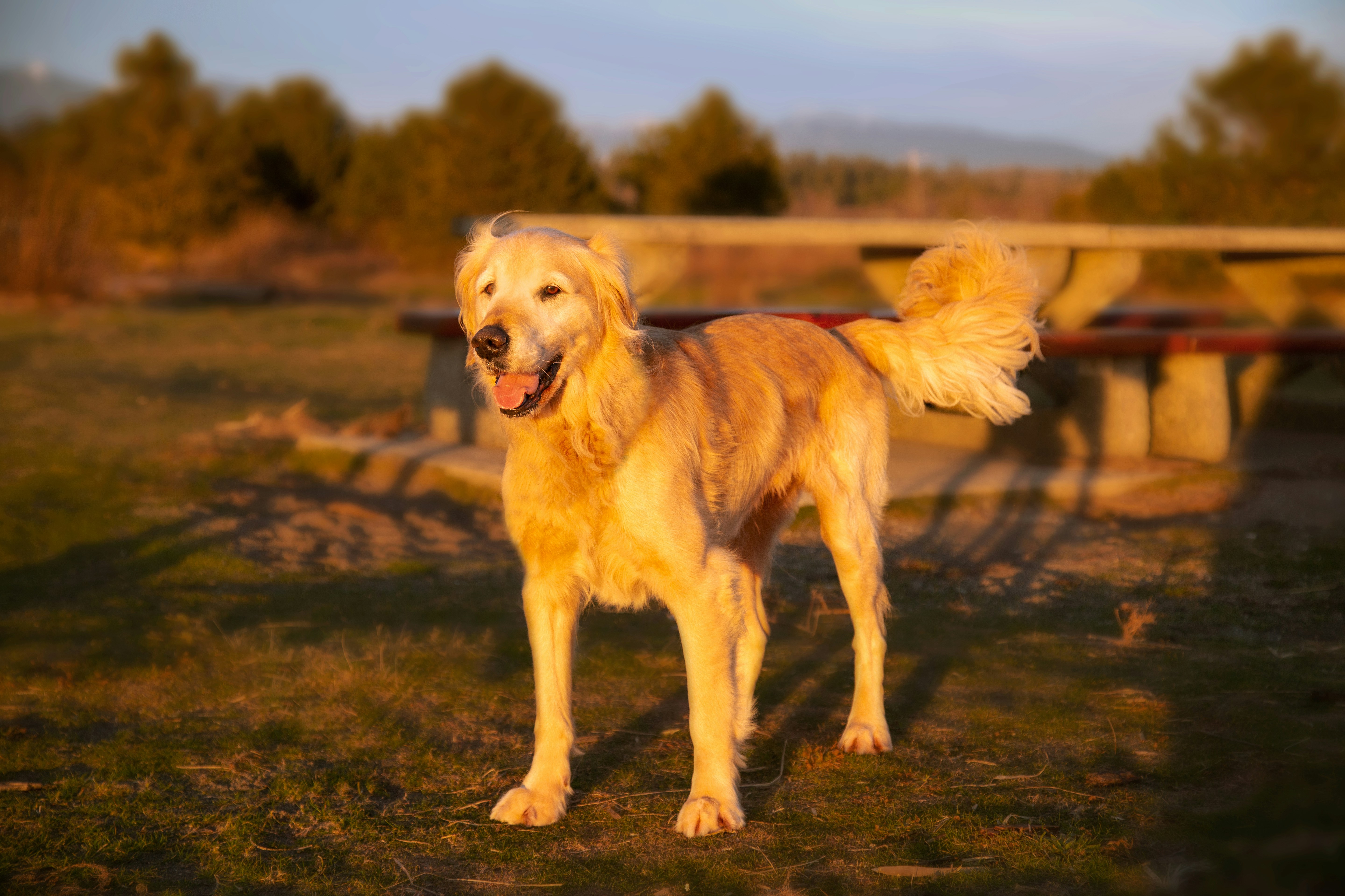 Photo by silentminds