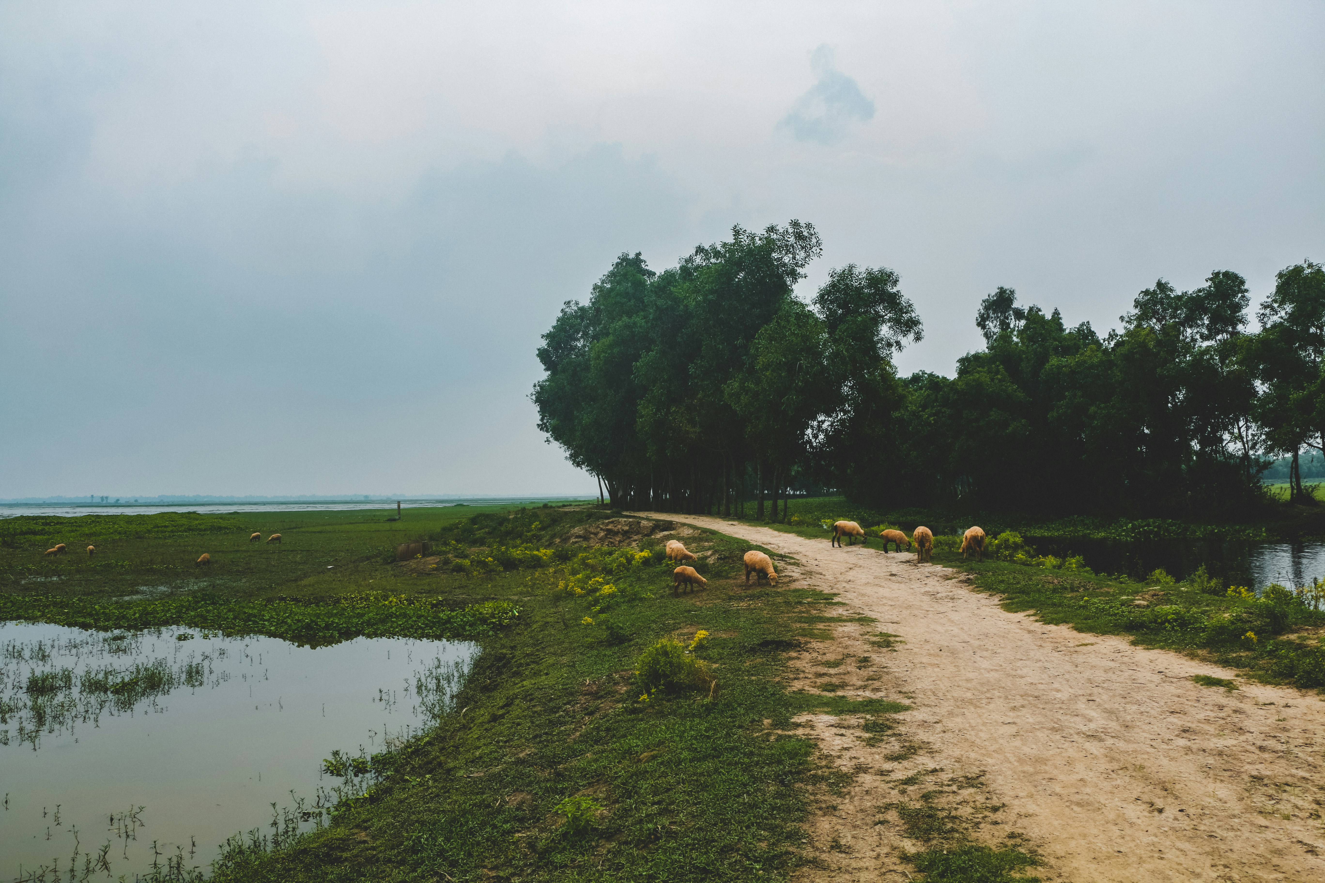 Photo by neha1301039