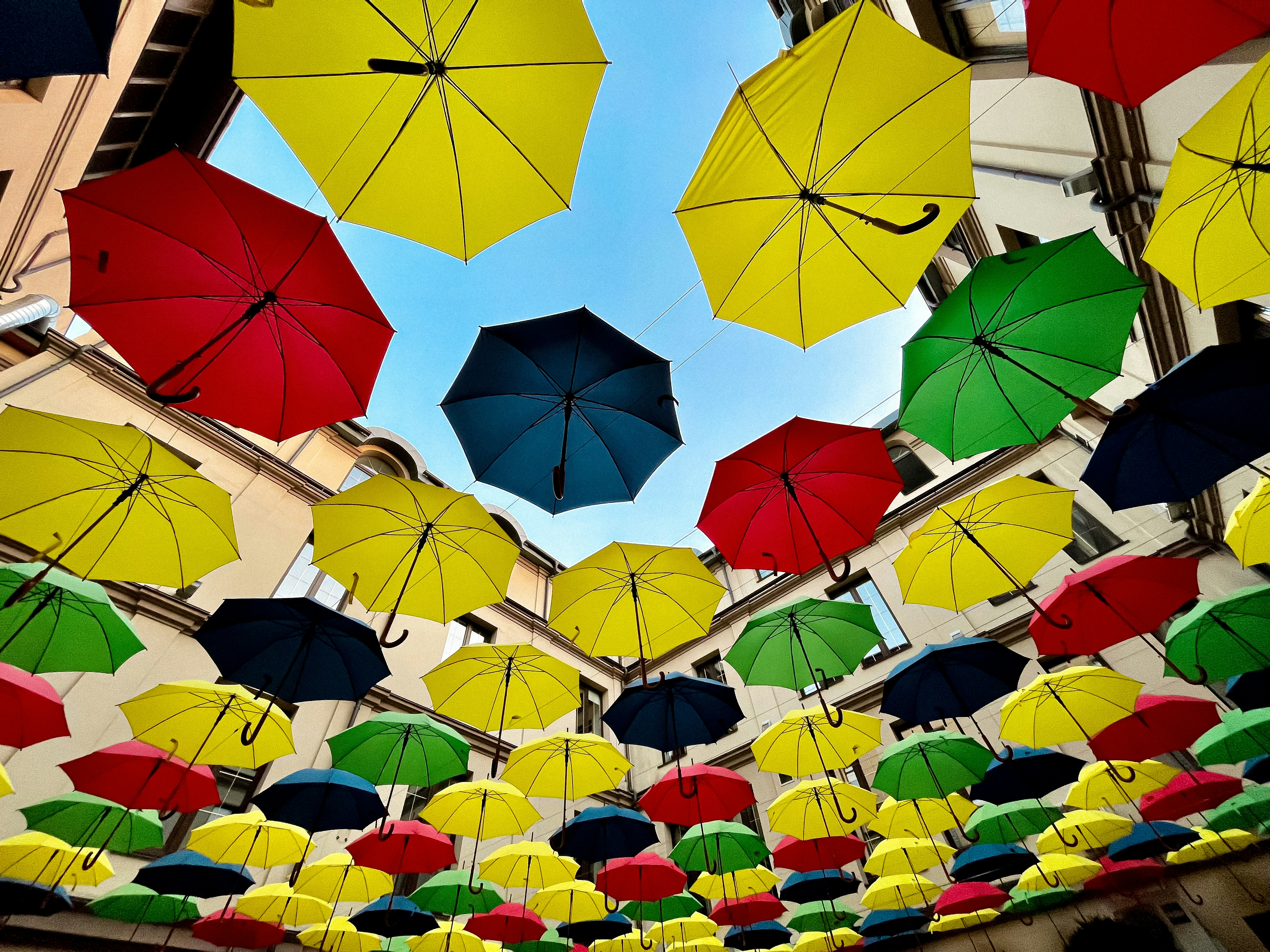 Photo by vitalii7577