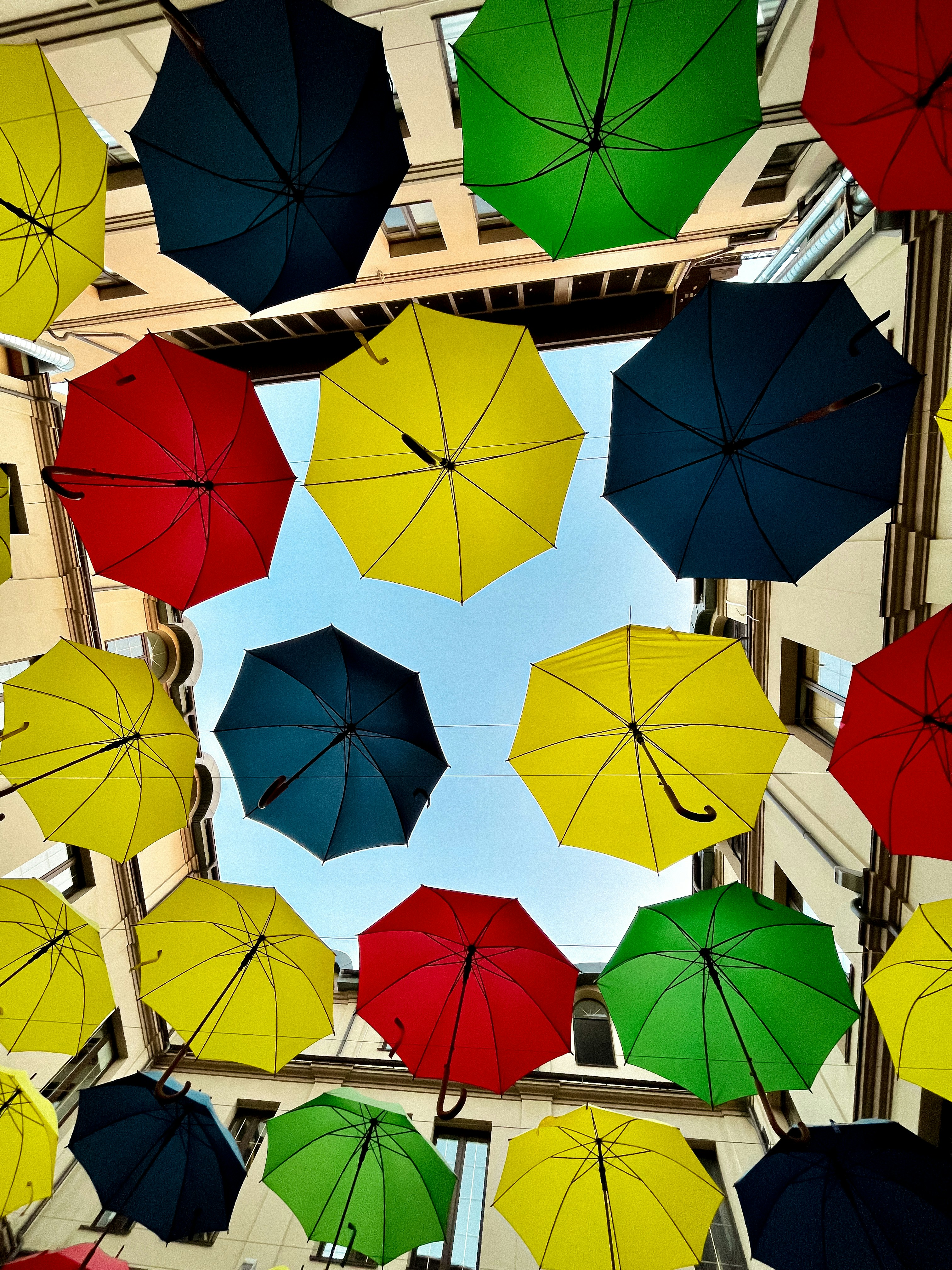 Photo by vitalii7577