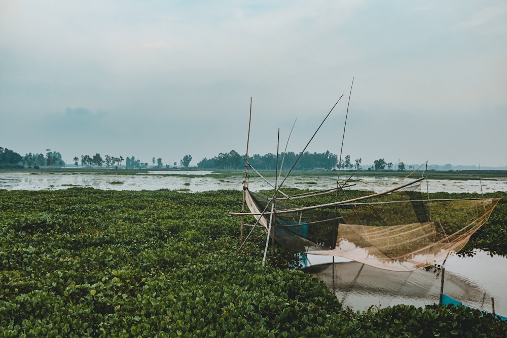 a boat in a field