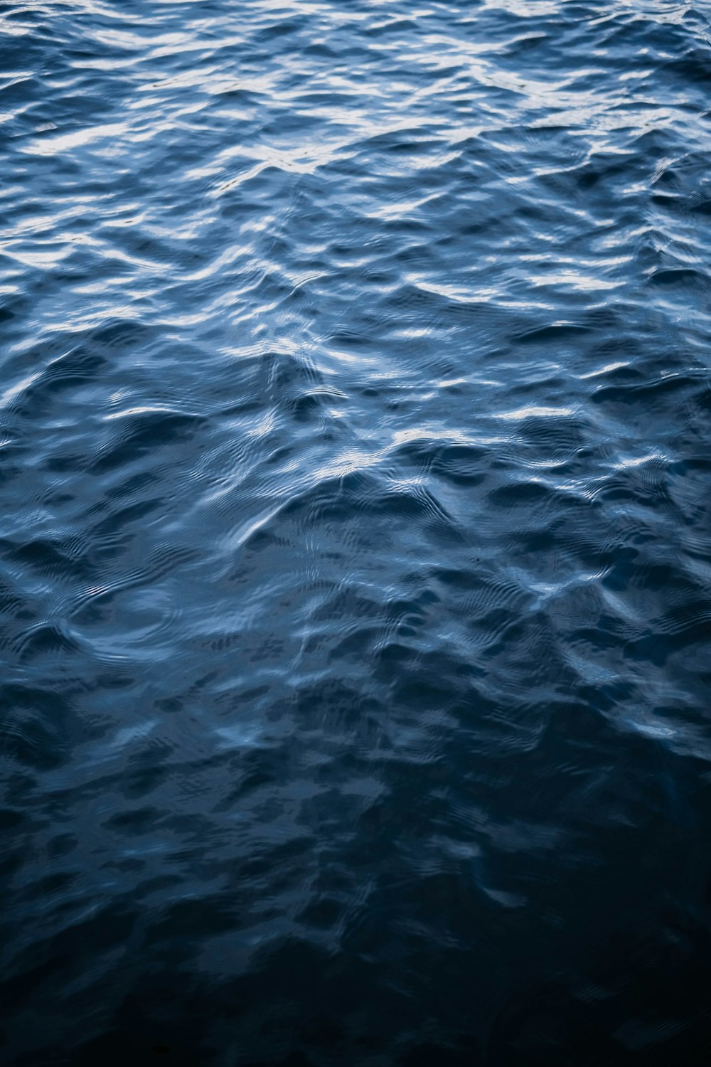 a body of water with ripples