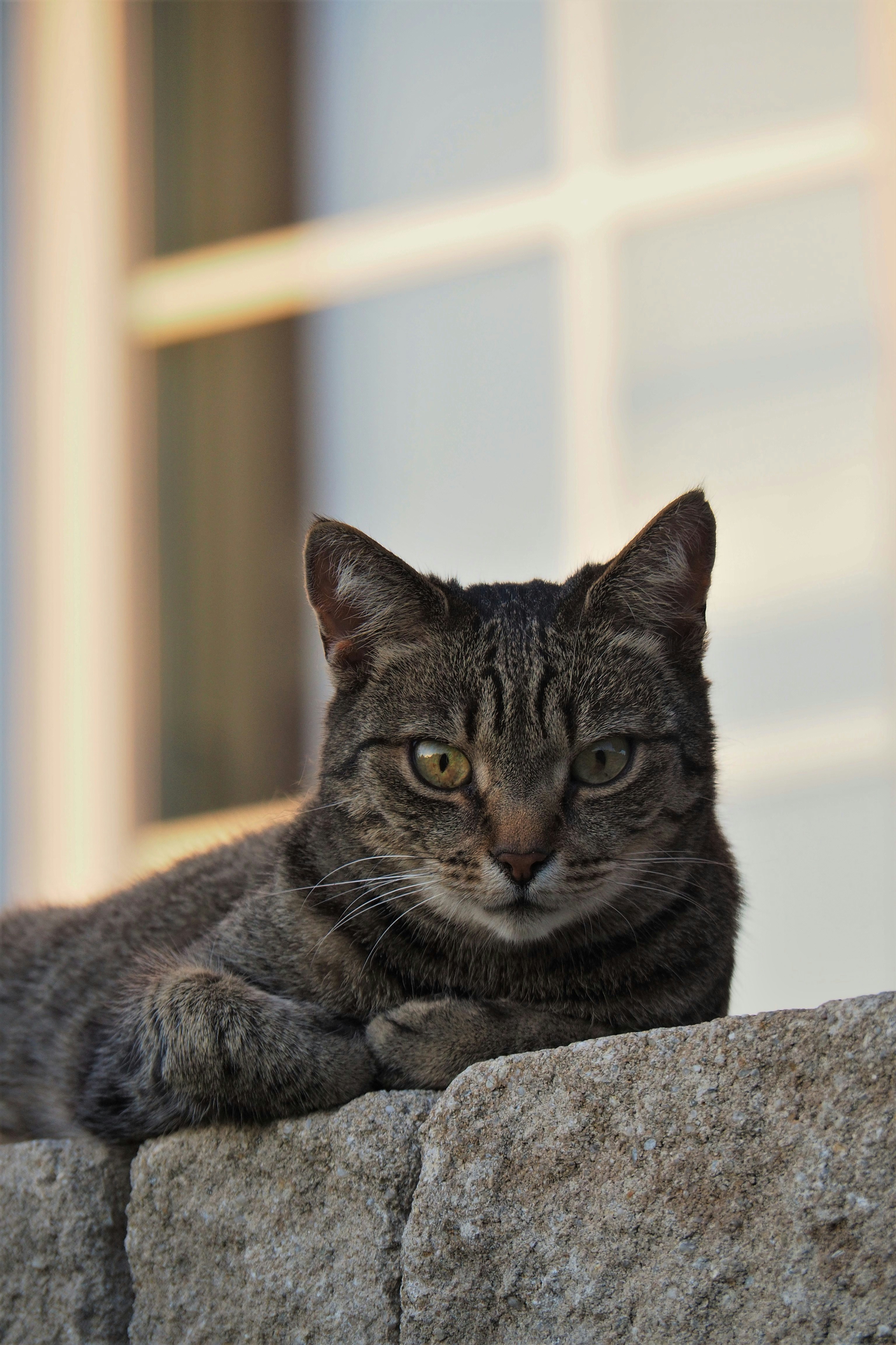 Photo by bastelstunde