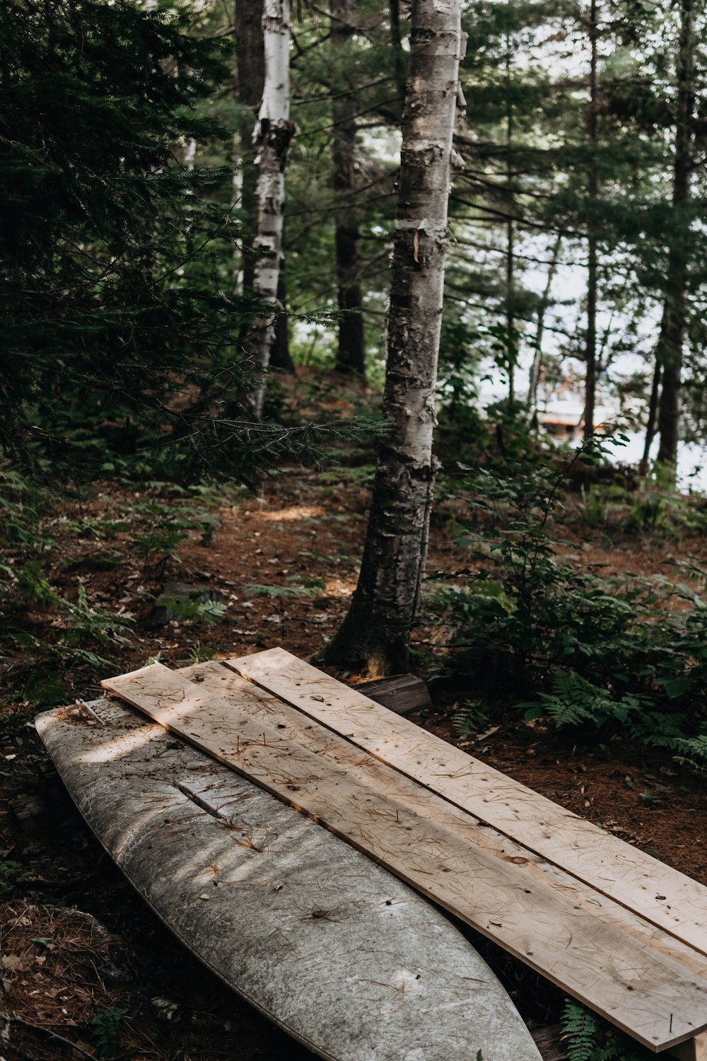 a wooden bench in the woods