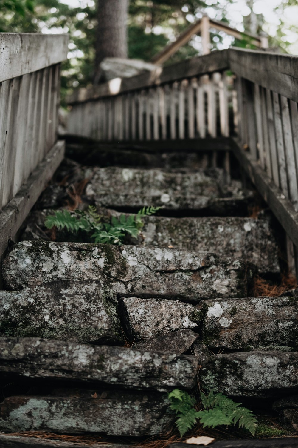 a stone wall with a fence